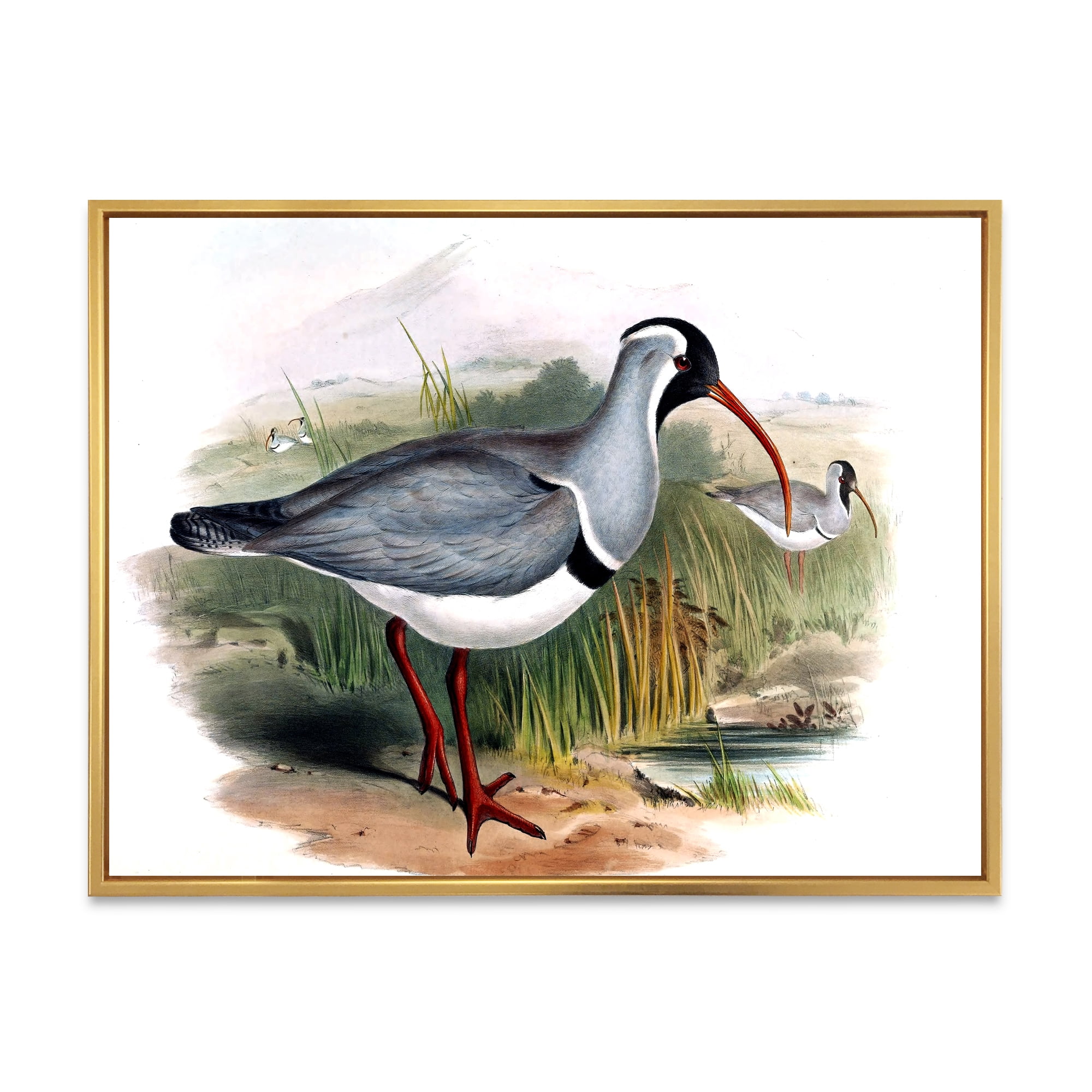 Designart 'Vintage Countryside Birds In Wild' Farmhouse Framed Canvas Wall Art Print