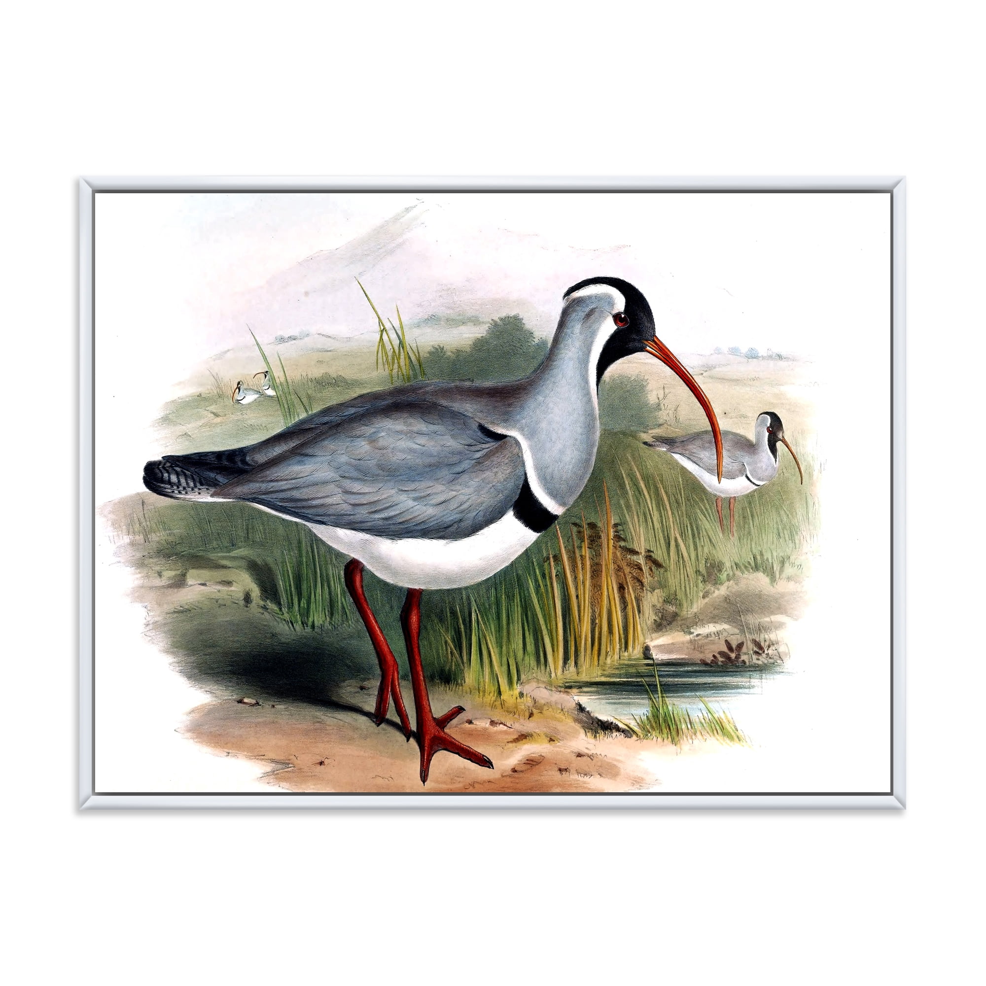 Designart 'Vintage Countryside Birds In Wild' Farmhouse Framed Canvas Wall Art Print