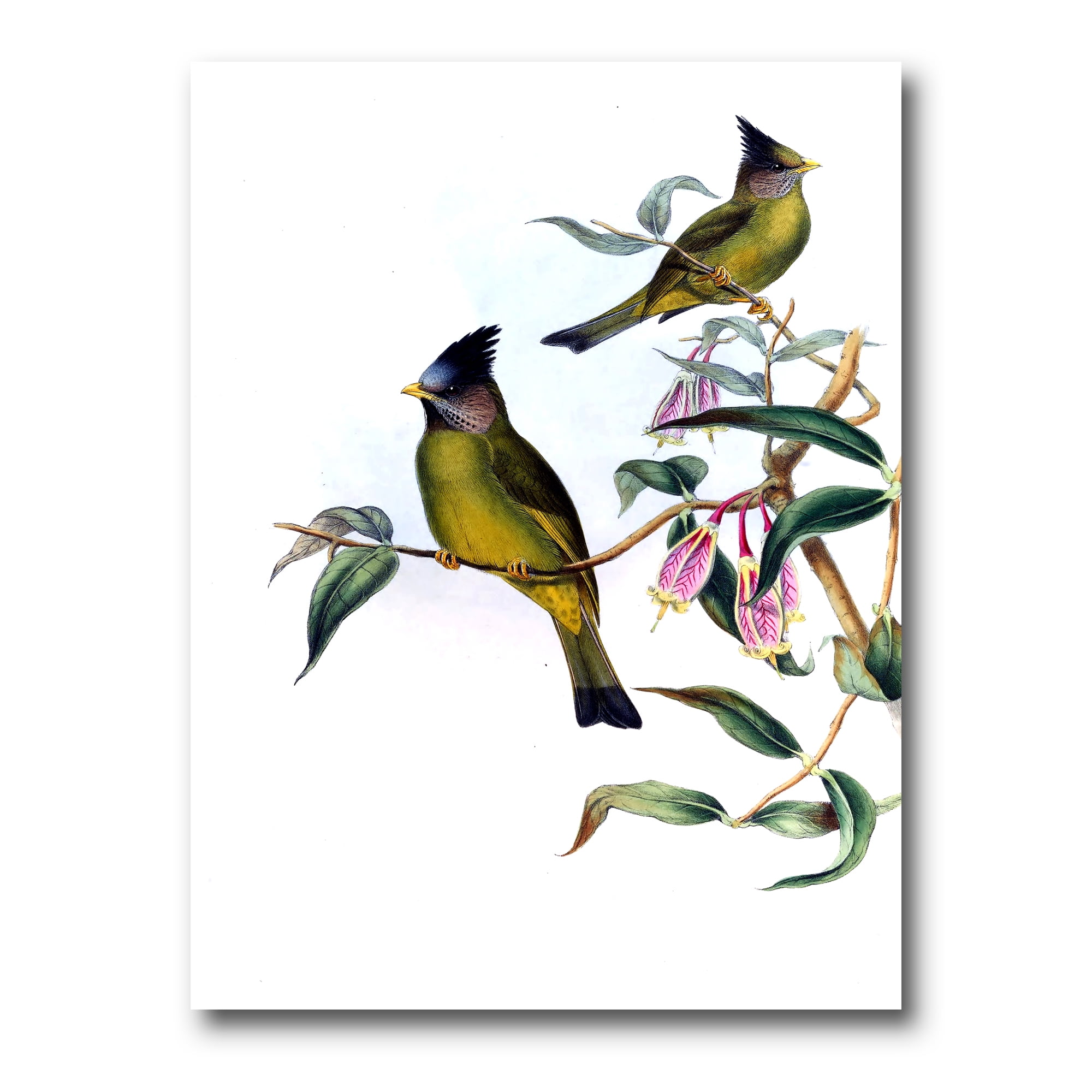 Designart ' Vintage Countryside Birds On Branch II ' Farmhouse Canvas Wall Art Print