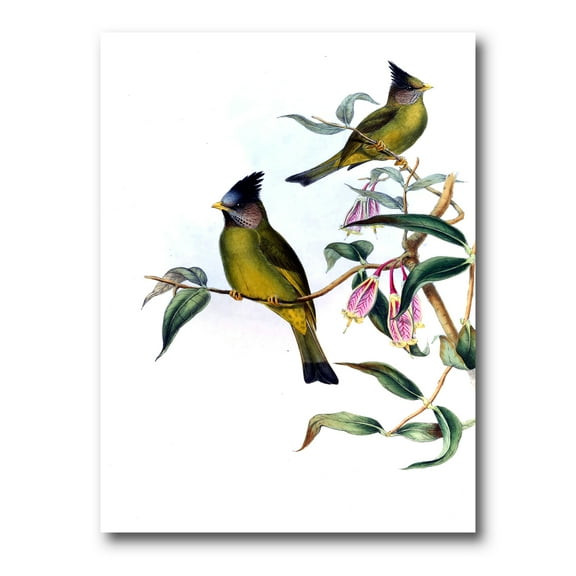 Designart ' Vintage Countryside Birds On Branch II ' Farmhouse Canvas Wall Art Print