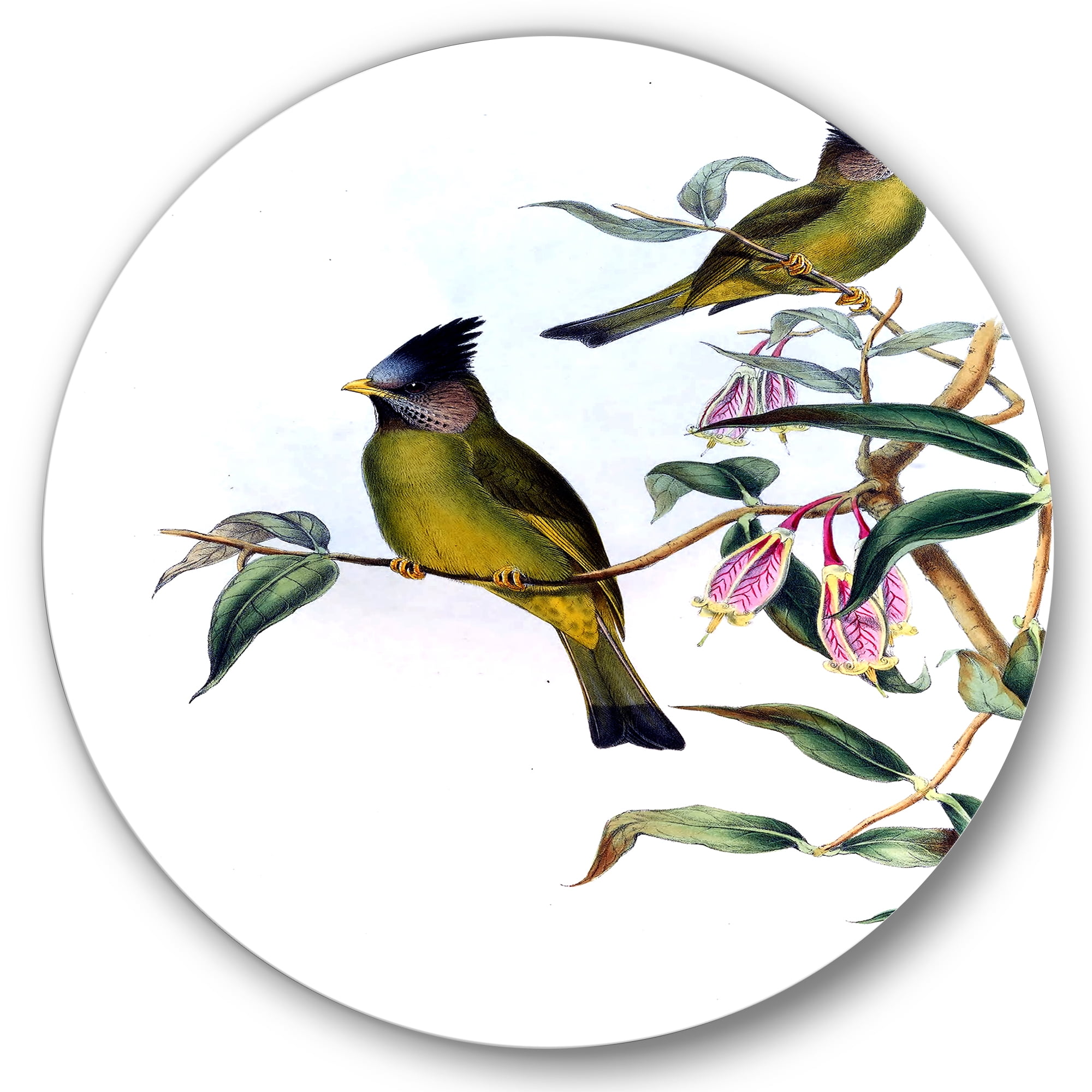 Designart 'Vintage Countryside Birds On Branch II' Farmhouse Circle Metal Wall Art 36x36 - Disc of 36