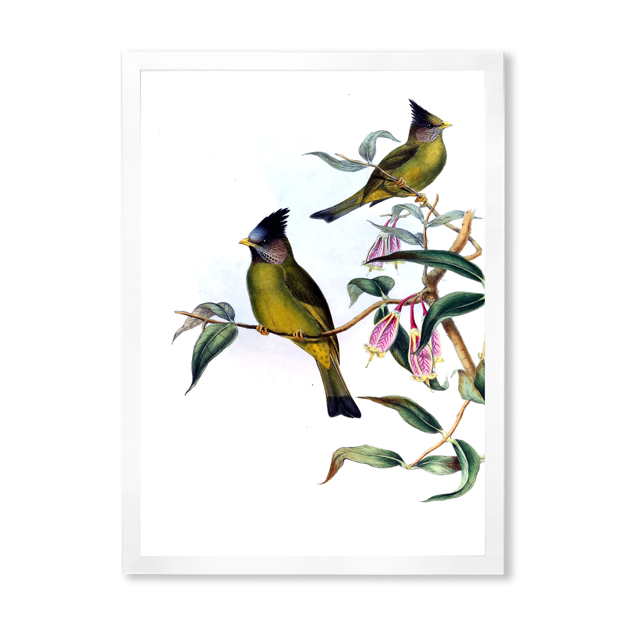 Designart 'Vintage Countryside Birds On Branch II' Farmhouse Framed Art Print
