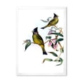 thumbnail image 1 of Designart 'Vintage Countryside Birds On Branch II' Farmhouse Framed Art Print, 1 of 4