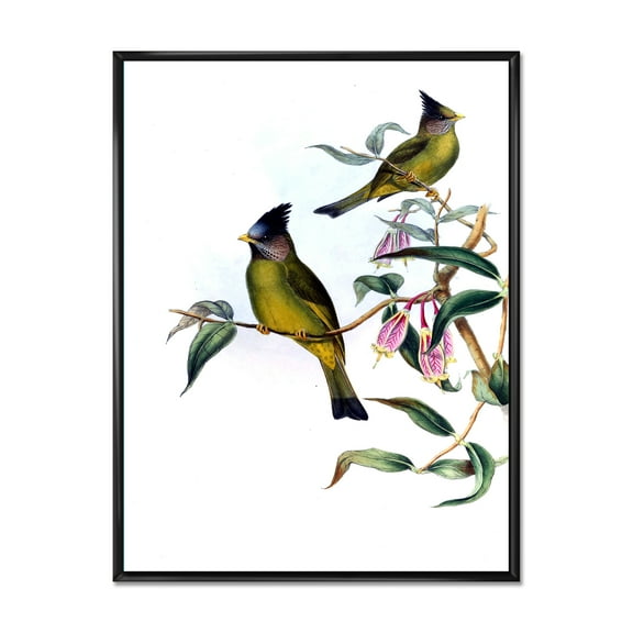Designart 'Vintage Countryside Birds On Branch II' Farmhouse Framed Canvas Wall Art Print