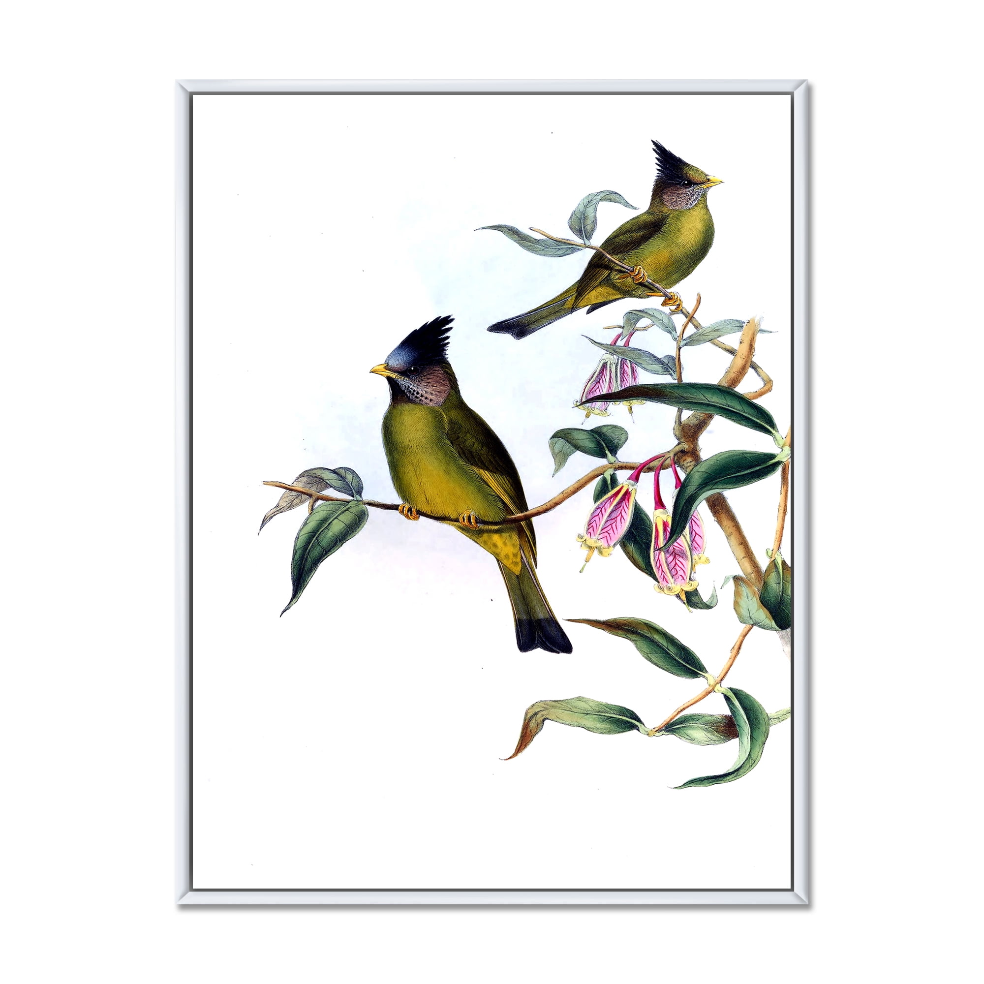 Designart 'Vintage Countryside Birds On Branch II' Farmhouse Framed Canvas Wall Art Print
