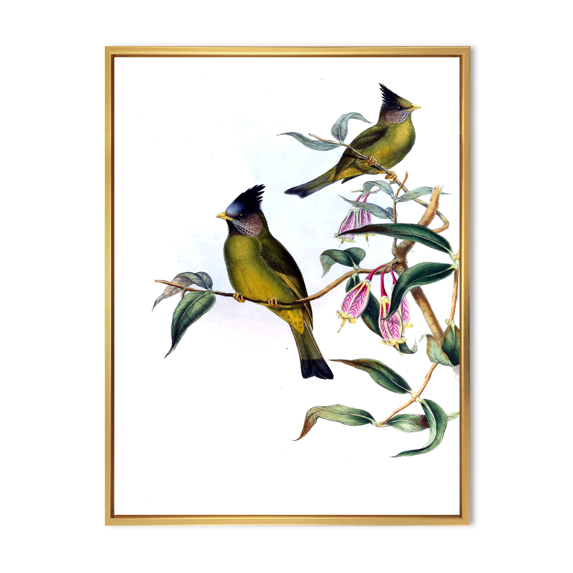 Designart 'Vintage Countryside Birds On Branch II' Farmhouse Framed Canvas Wall Art Print