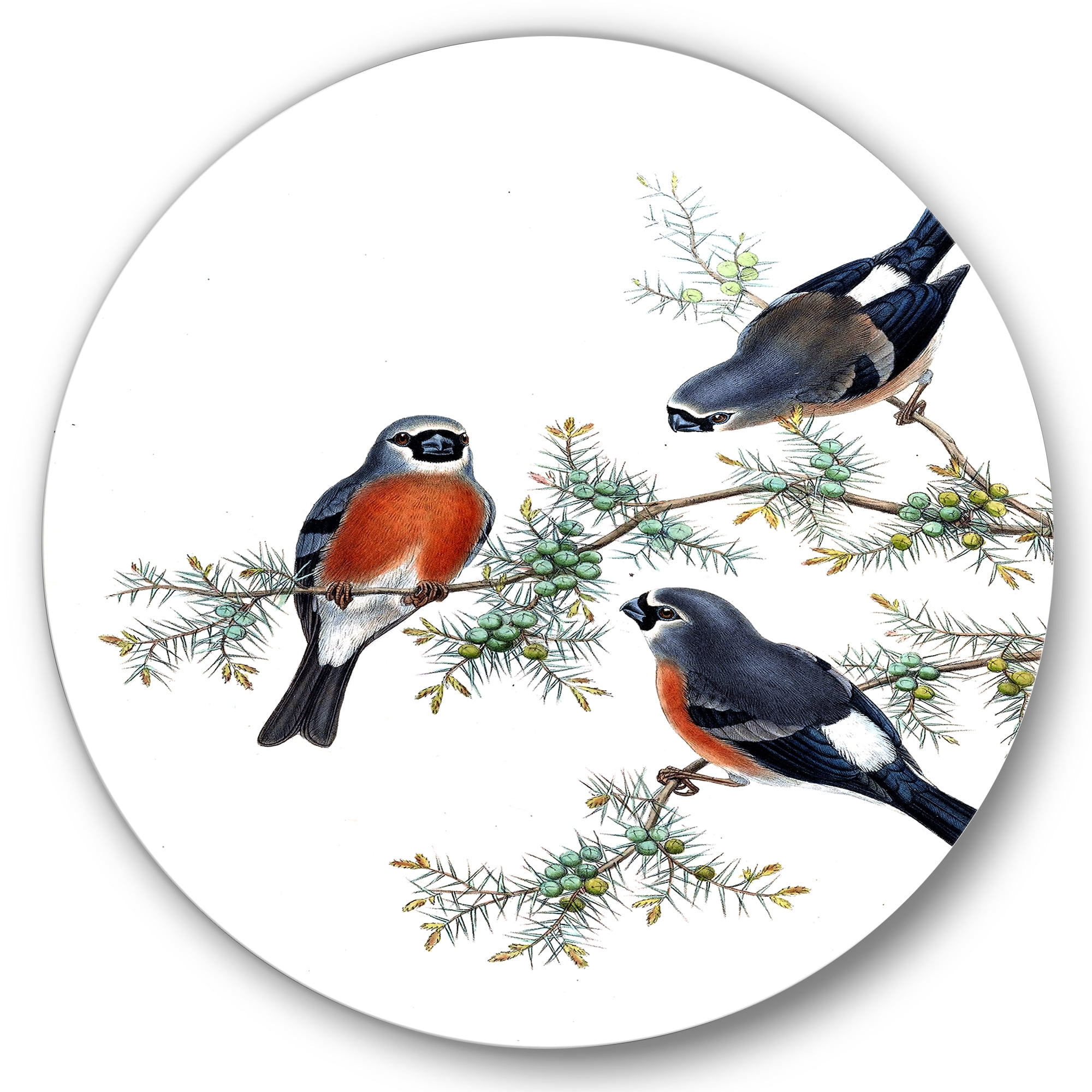 Designart 'Vintage Countryside Birds On Branch III' Farmhouse Circle Metal Wall Art 29x29 - Disc of 29