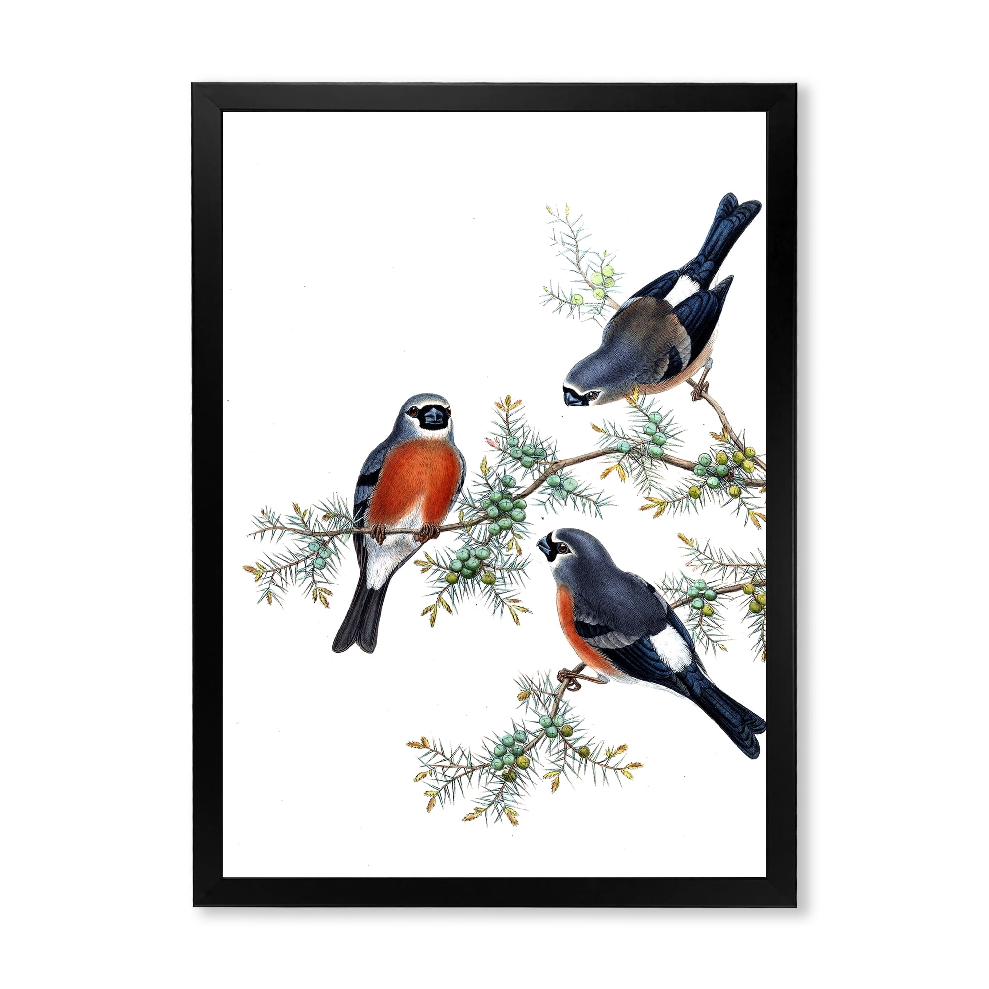 Designart 'Vintage Countryside Birds On Branch III' Farmhouse Framed Art Print