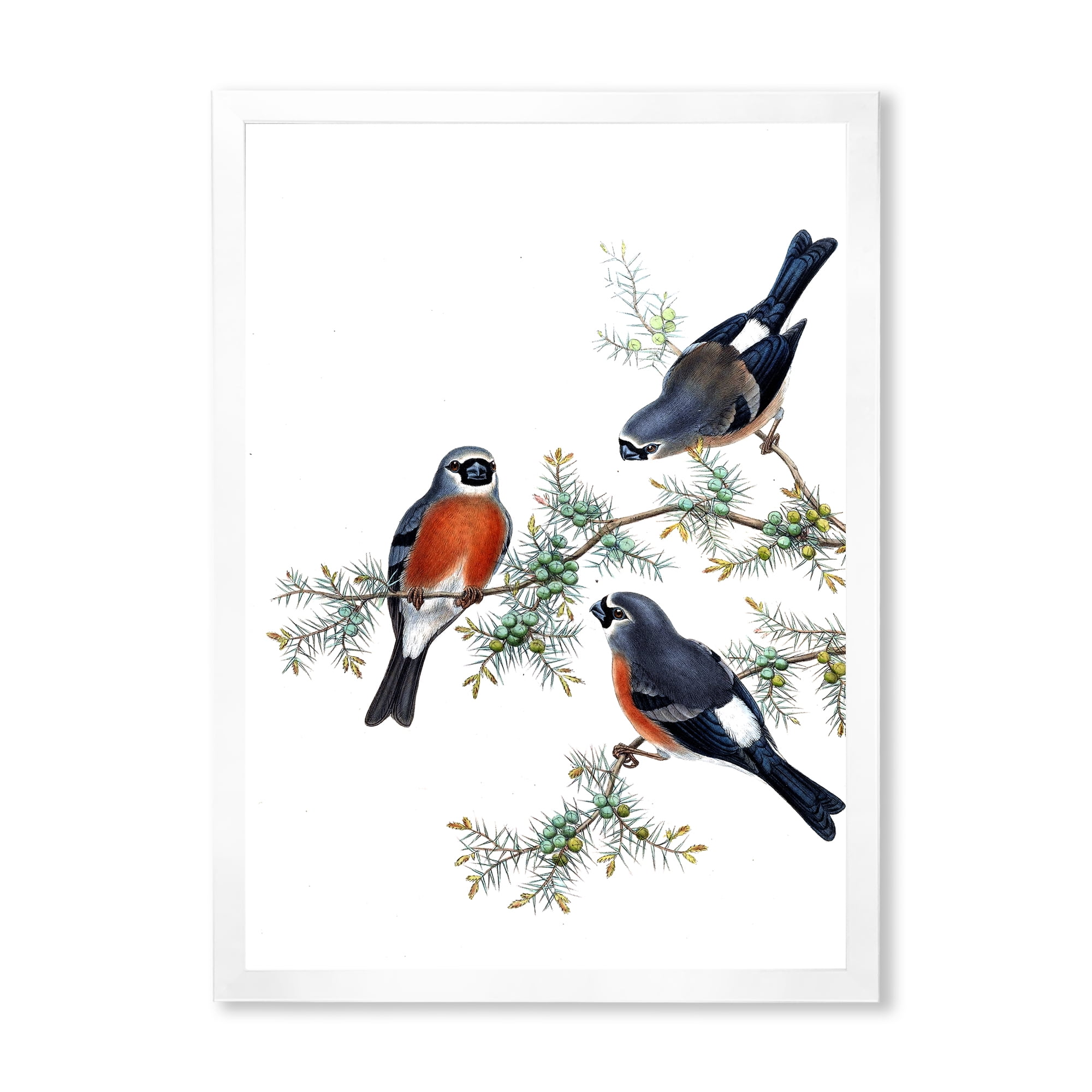 Designart 'Vintage Countryside Birds On Branch III' Farmhouse Framed Art Print