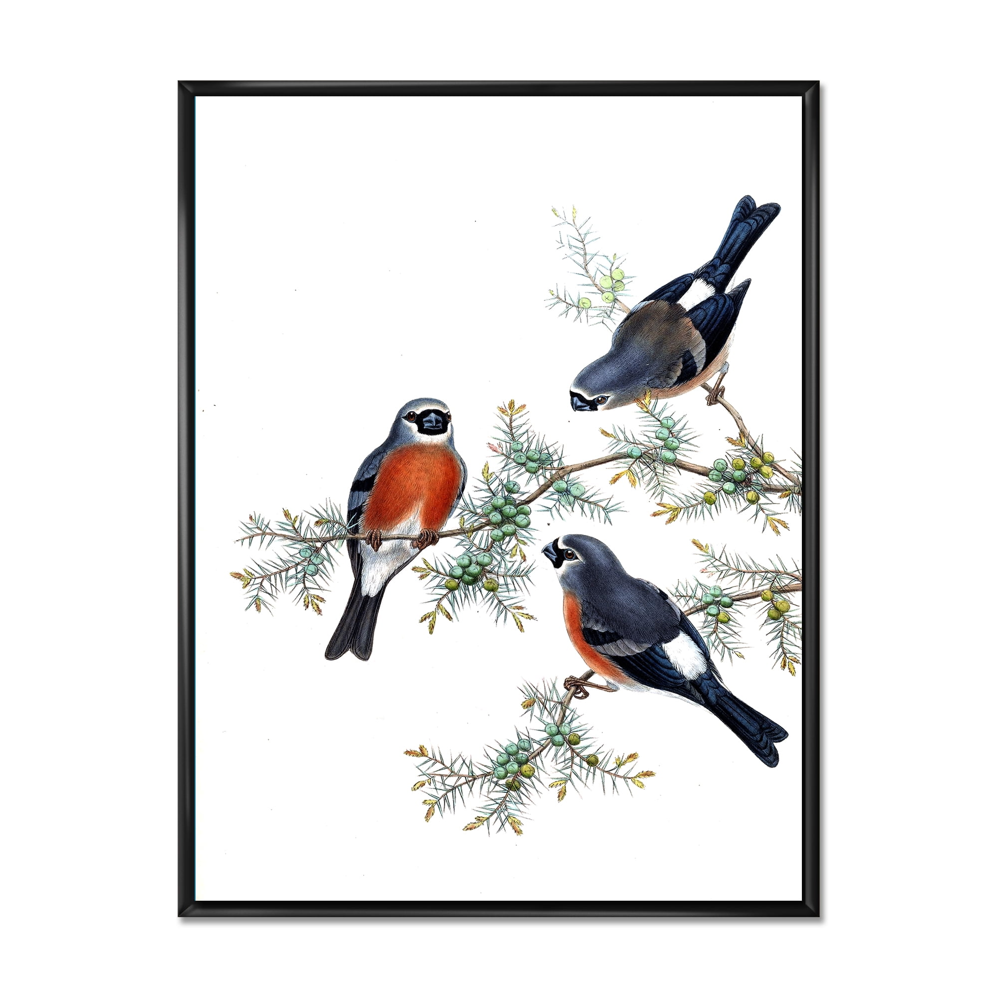 Designart 'Vintage Countryside Birds On Branch III' Farmhouse Framed Canvas Wall Art Print
