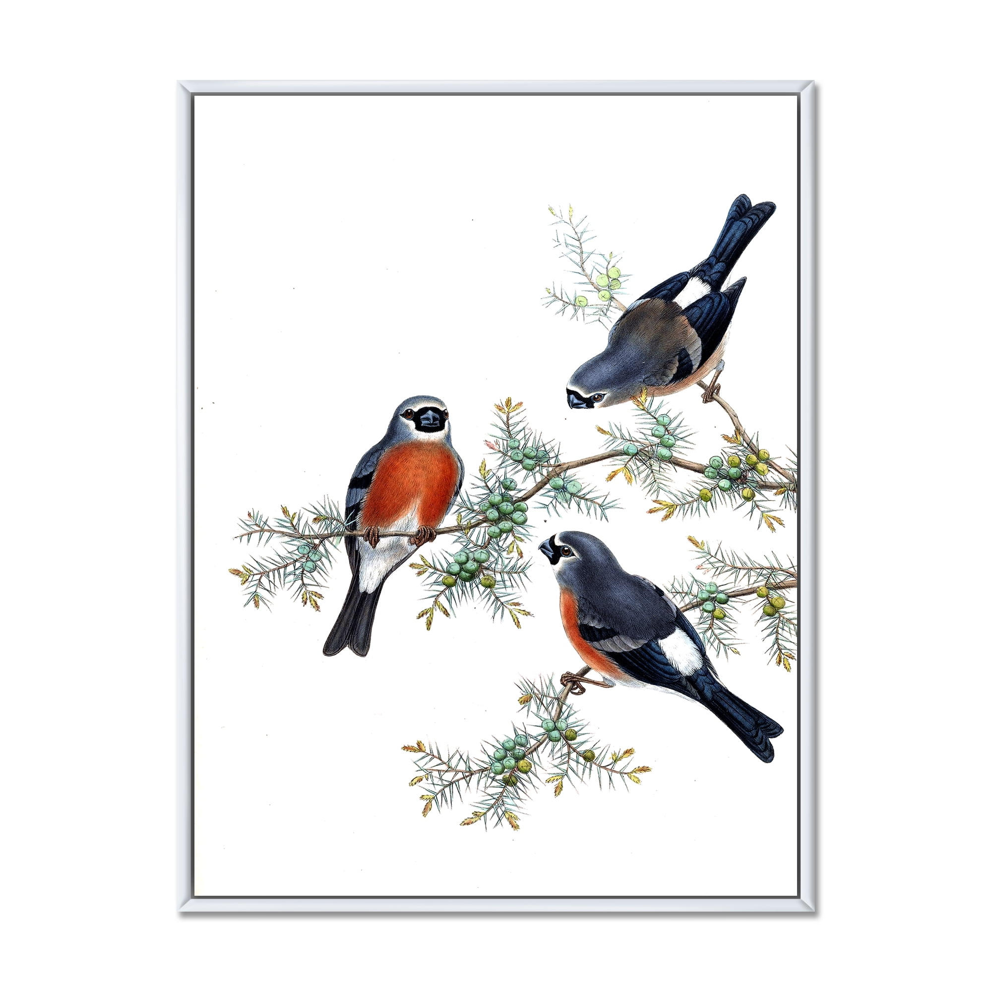 Designart 'Vintage Countryside Birds On Branch III' Farmhouse Framed Canvas Wall Art Print