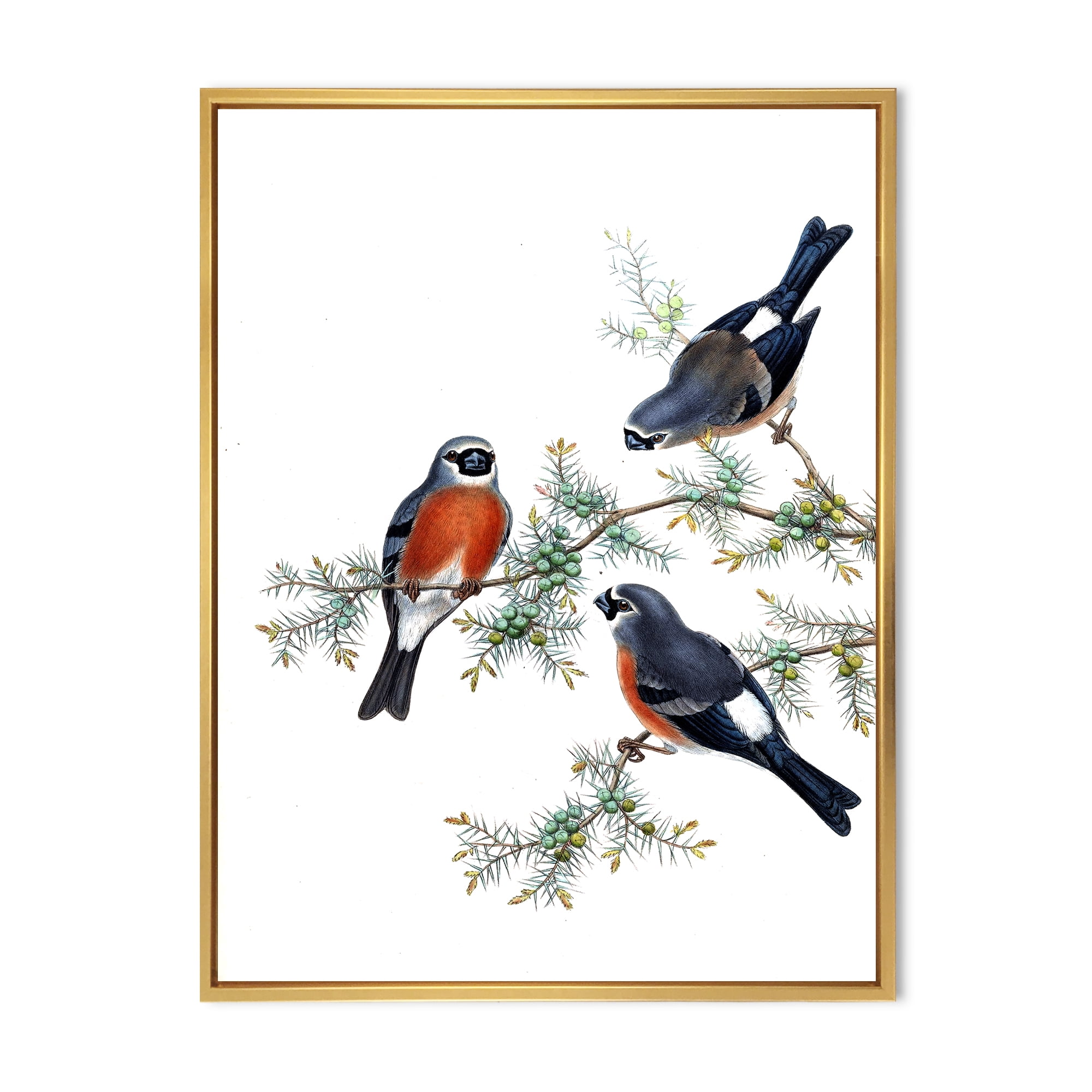 Designart 'Vintage Countryside Birds On Branch III' Farmhouse Framed Canvas Wall Art Print
