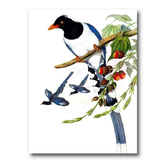 Designart ' Vintage Countryside Birds On Branch IV ' Farmhouse Canvas Wall Art Print