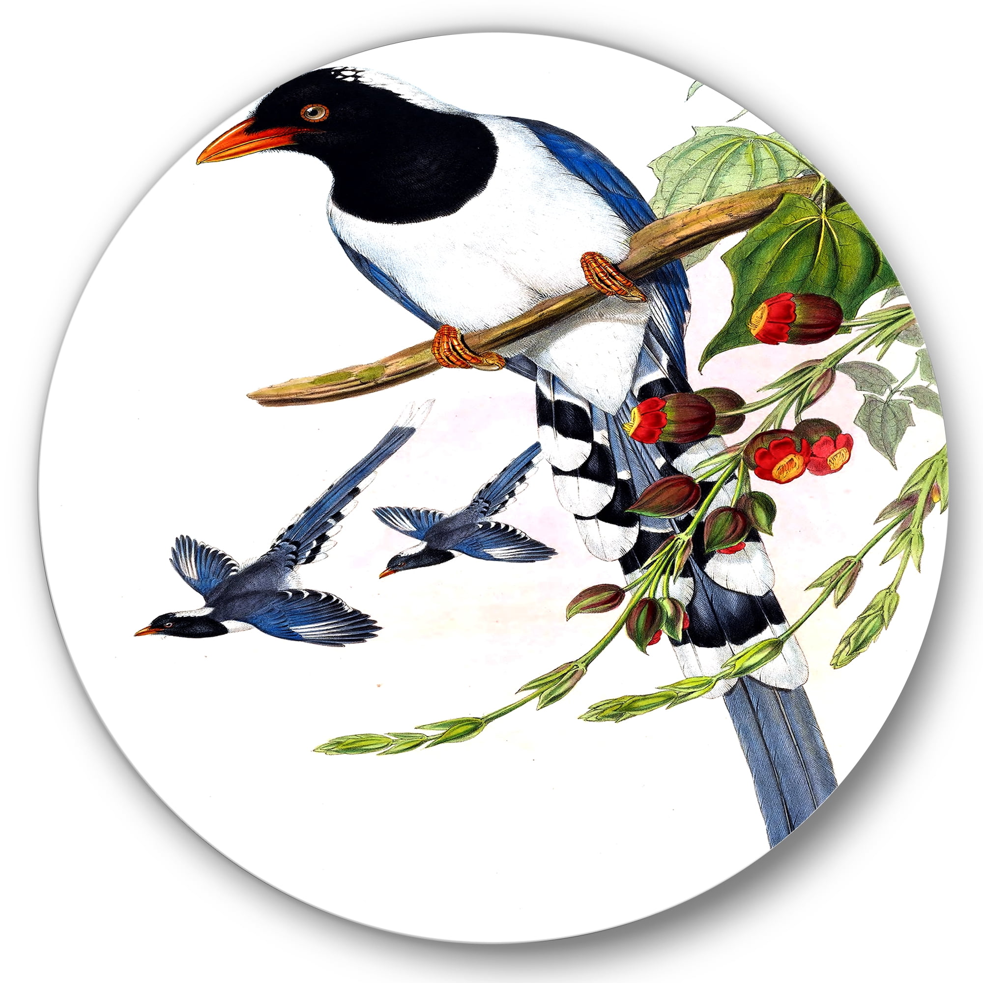 Designart 'Vintage Countryside Birds On Branch IV' Farmhouse Circle Metal Wall Art 36x36 - Disc of 36