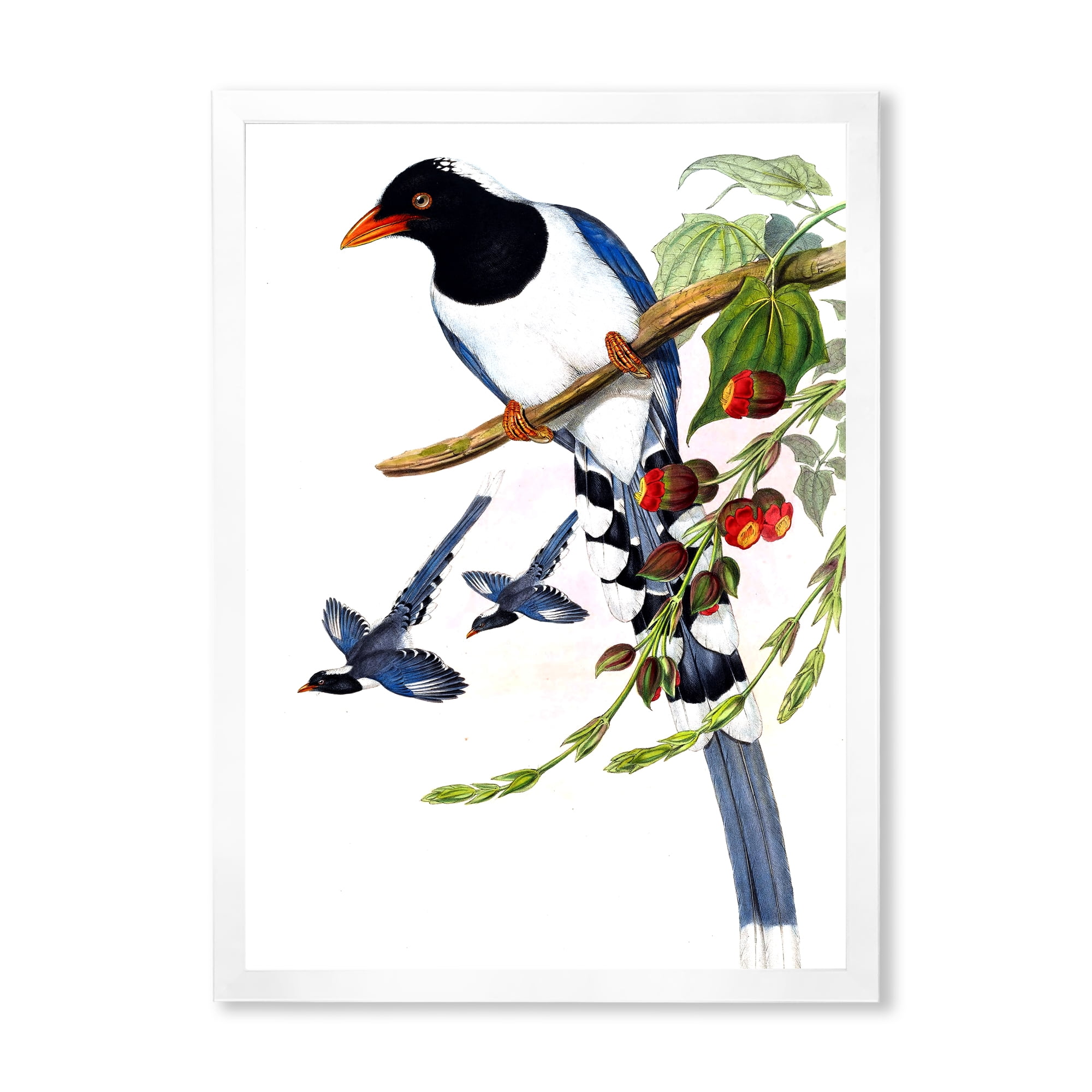 Designart 'Vintage Countryside Birds On Branch IV' Farmhouse Framed Art Print