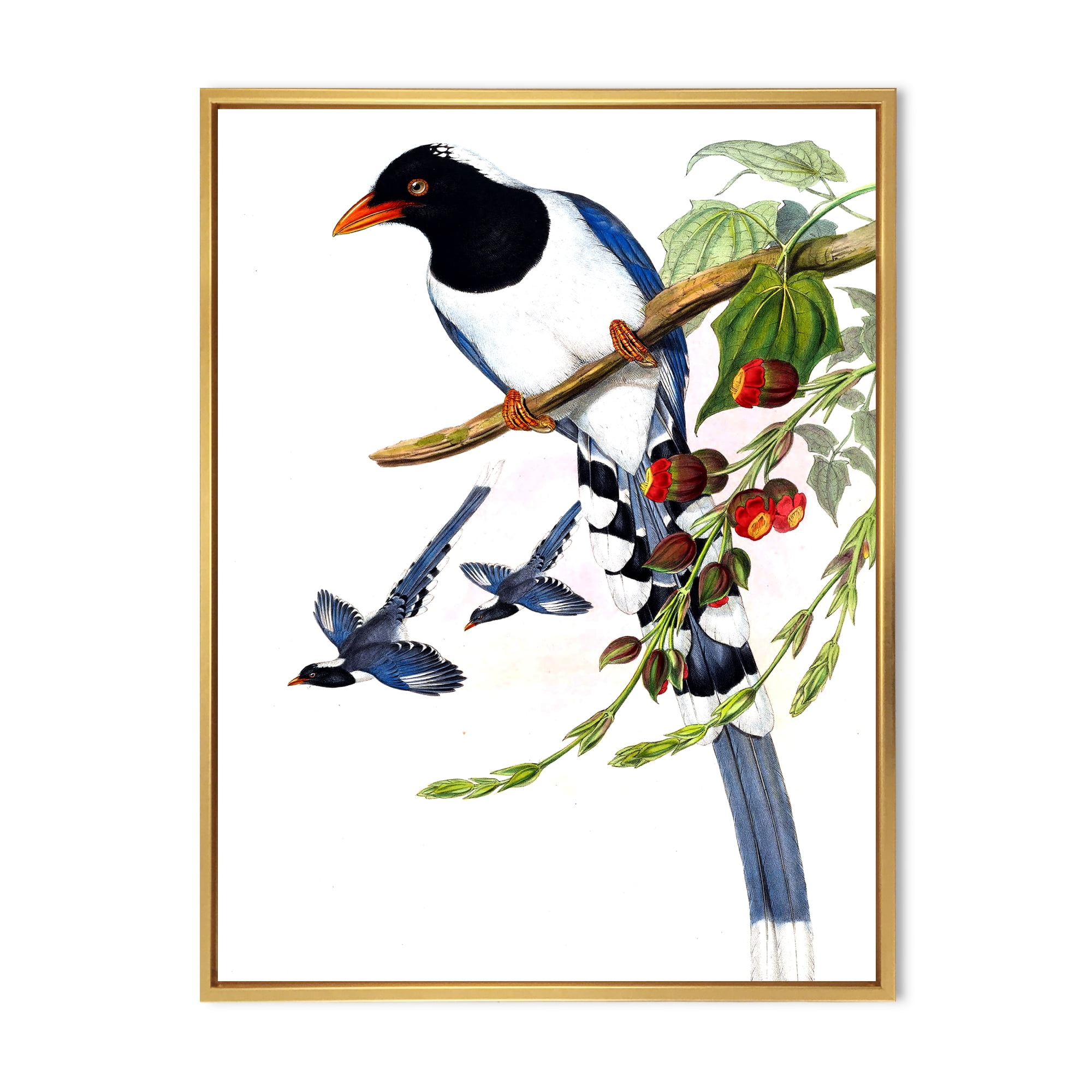 Designart 'Vintage Countryside Birds On Branch IV' Farmhouse Framed Canvas Wall Art Print