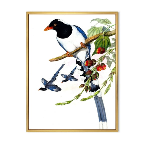 Designart 'Vintage Countryside Birds On Branch IV' Farmhouse Framed Canvas Wall Art Print