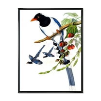 Designart 'Vintage Countryside Birds On Branch IV' Farmhouse Framed Canvas Wall Art Print