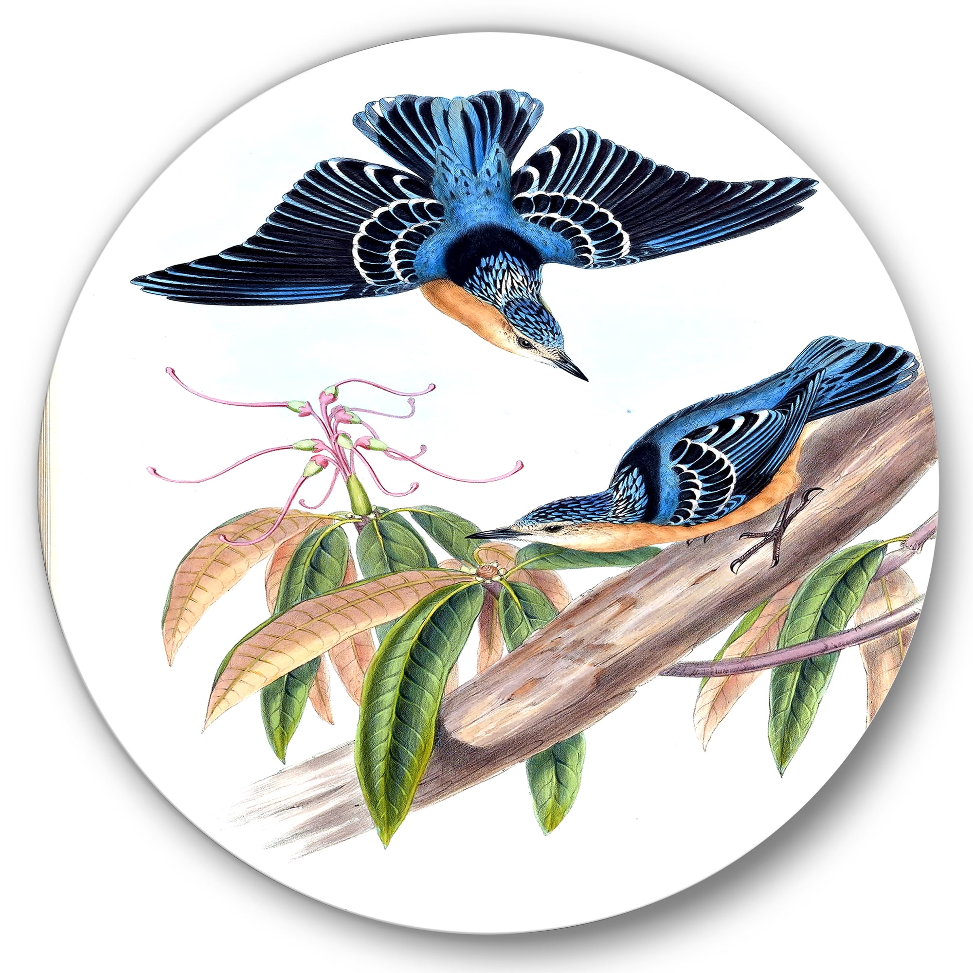 Designart 'Vintage Countryside Birds On Branch V' Farmhouse Circle Metal Wall Art 11x11 - Disc of 11