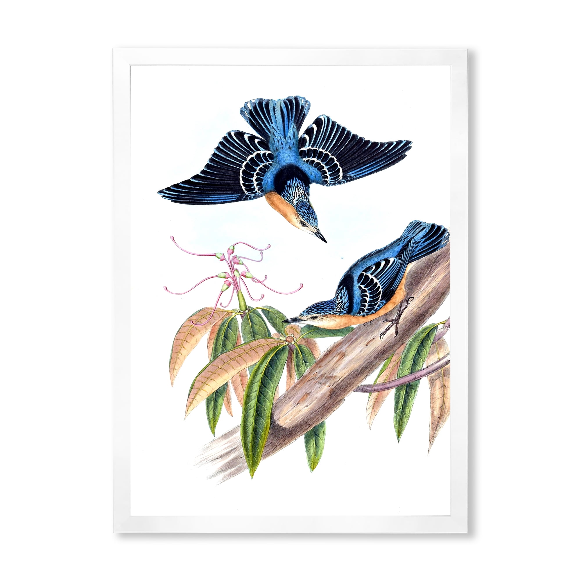 Designart 'Vintage Countryside Birds On Branch V' Farmhouse Framed Art Print