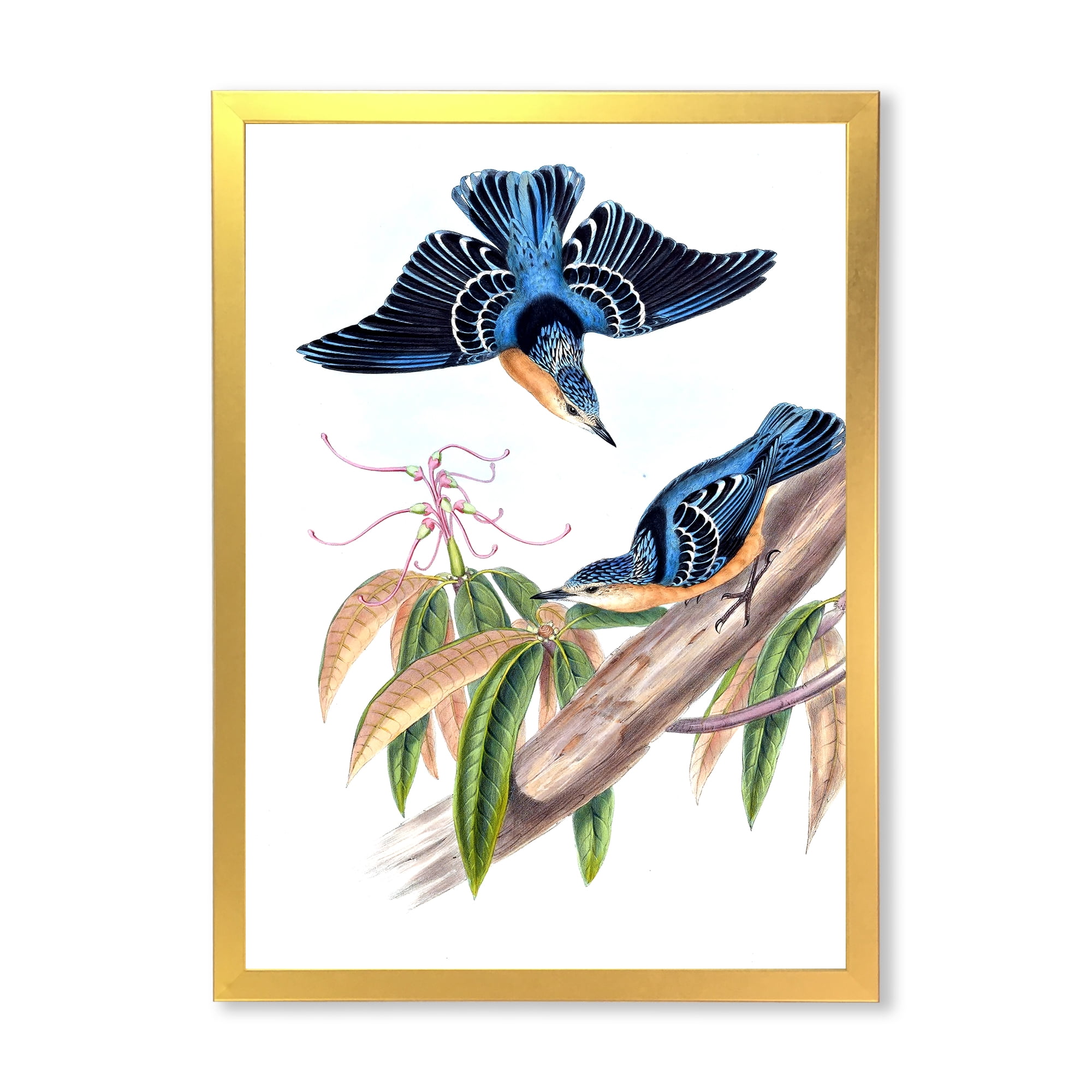 Designart 'Vintage Countryside Birds On Branch V' Farmhouse Framed Art Print