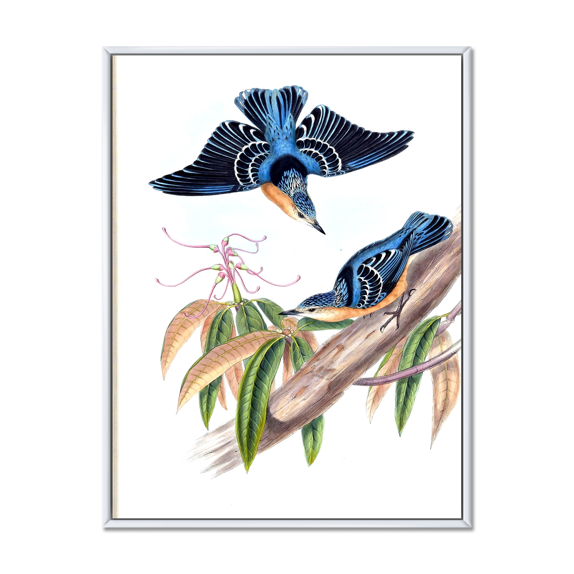 Designart 'Vintage Countryside Birds On Branch V' Farmhouse Framed Canvas Wall Art Print