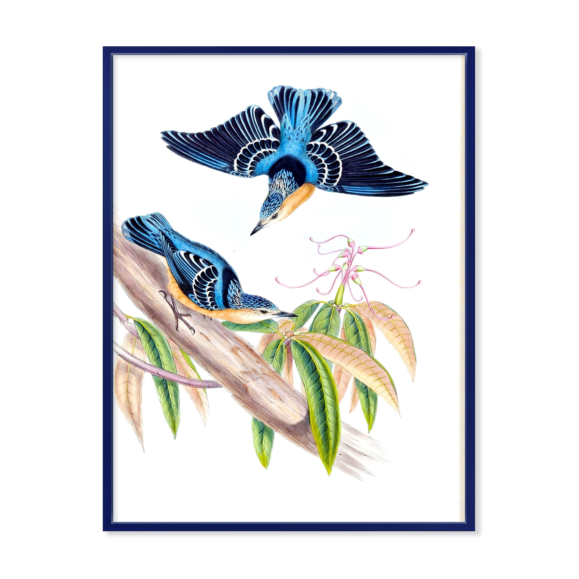 Designart 'Vintage Countryside Birds On Branch V' Farmhouse Framed Canvas Wall Art Print
