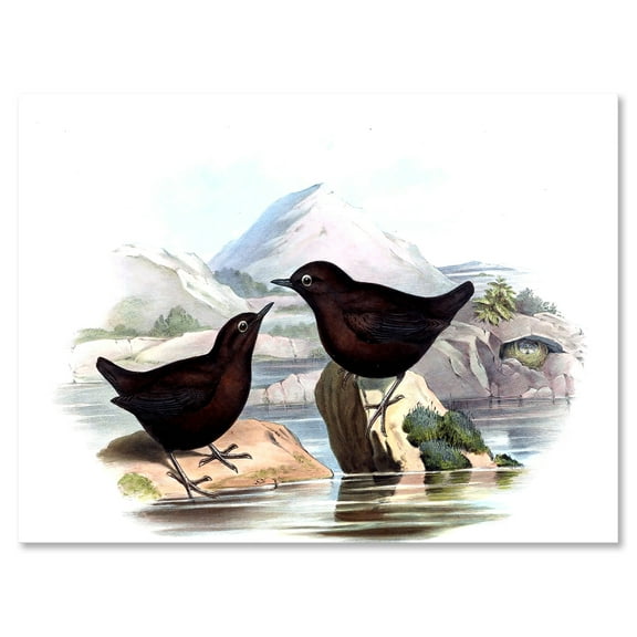 Designart ' Vintage Countryside Two Birds ' Farmhouse Canvas Wall Art Print