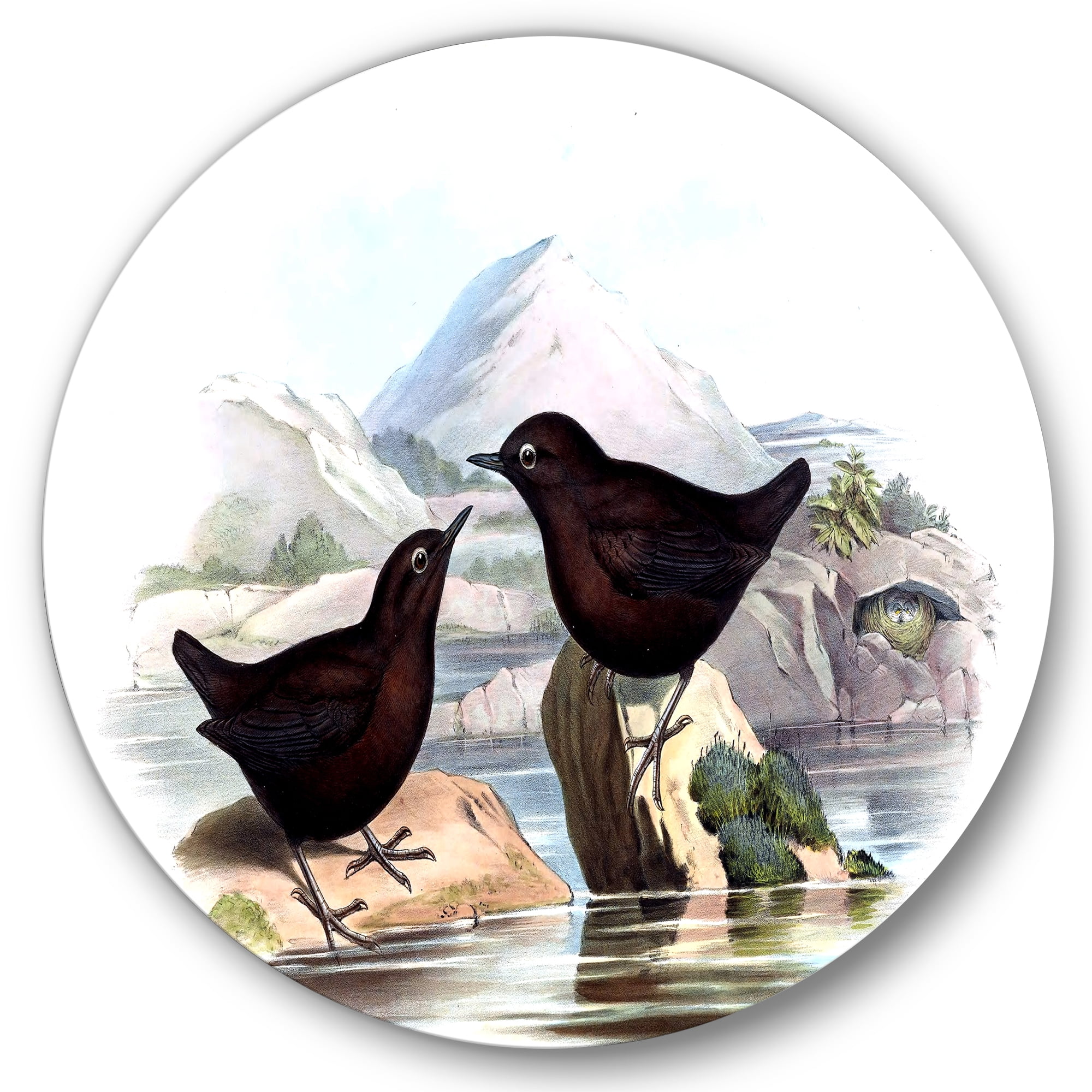 Designart 'Vintage Countryside Two Birds' Farmhouse Circle Metal Wall Art 23x23 - Disc of 23