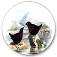 thumbnail image 1 of Designart 'Vintage Countryside Two Birds' Farmhouse Circle Metal Wall Art 36x36 - Disc of 36, 1 of 5