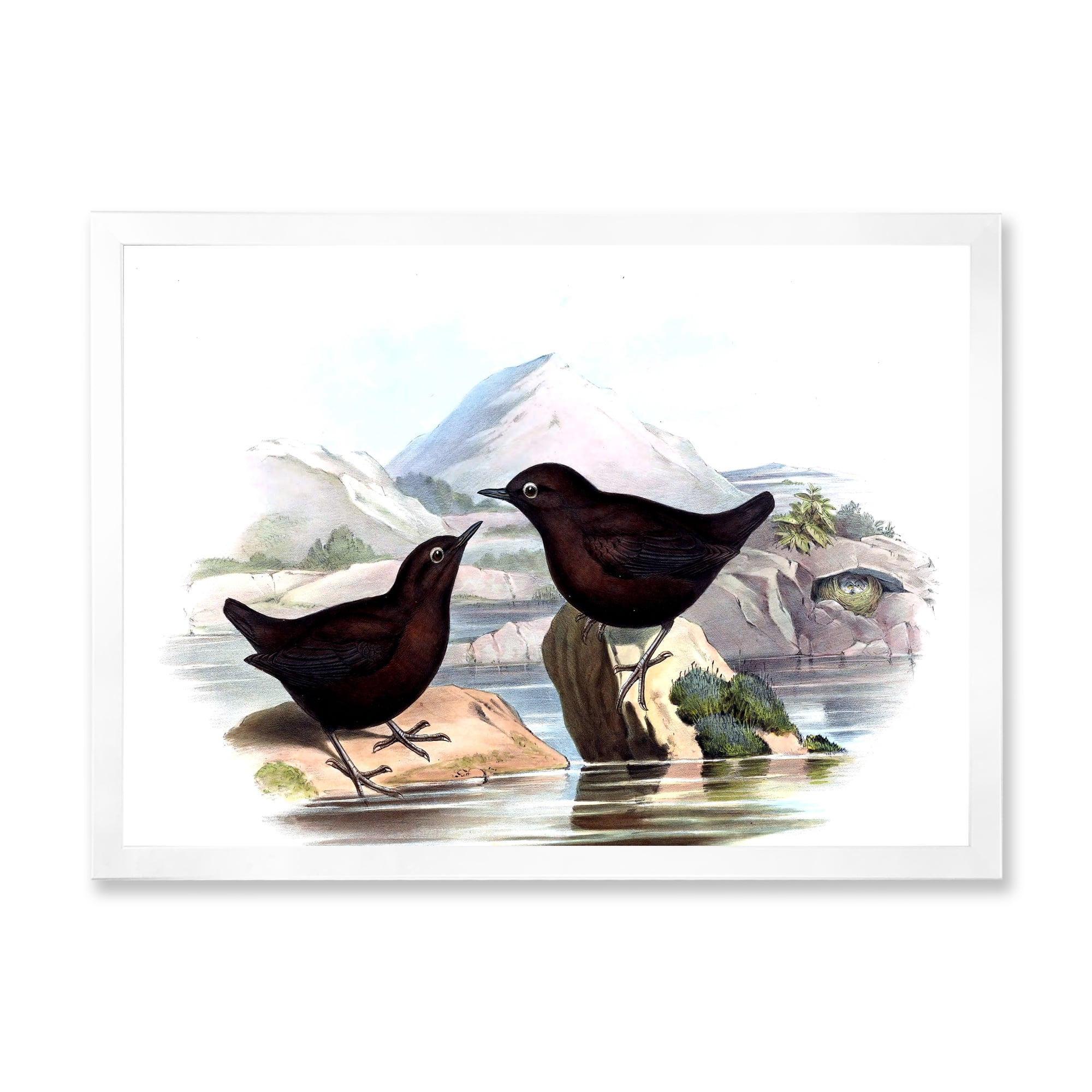 Designart 'Vintage Countryside Two Birds' Farmhouse Framed Art Print