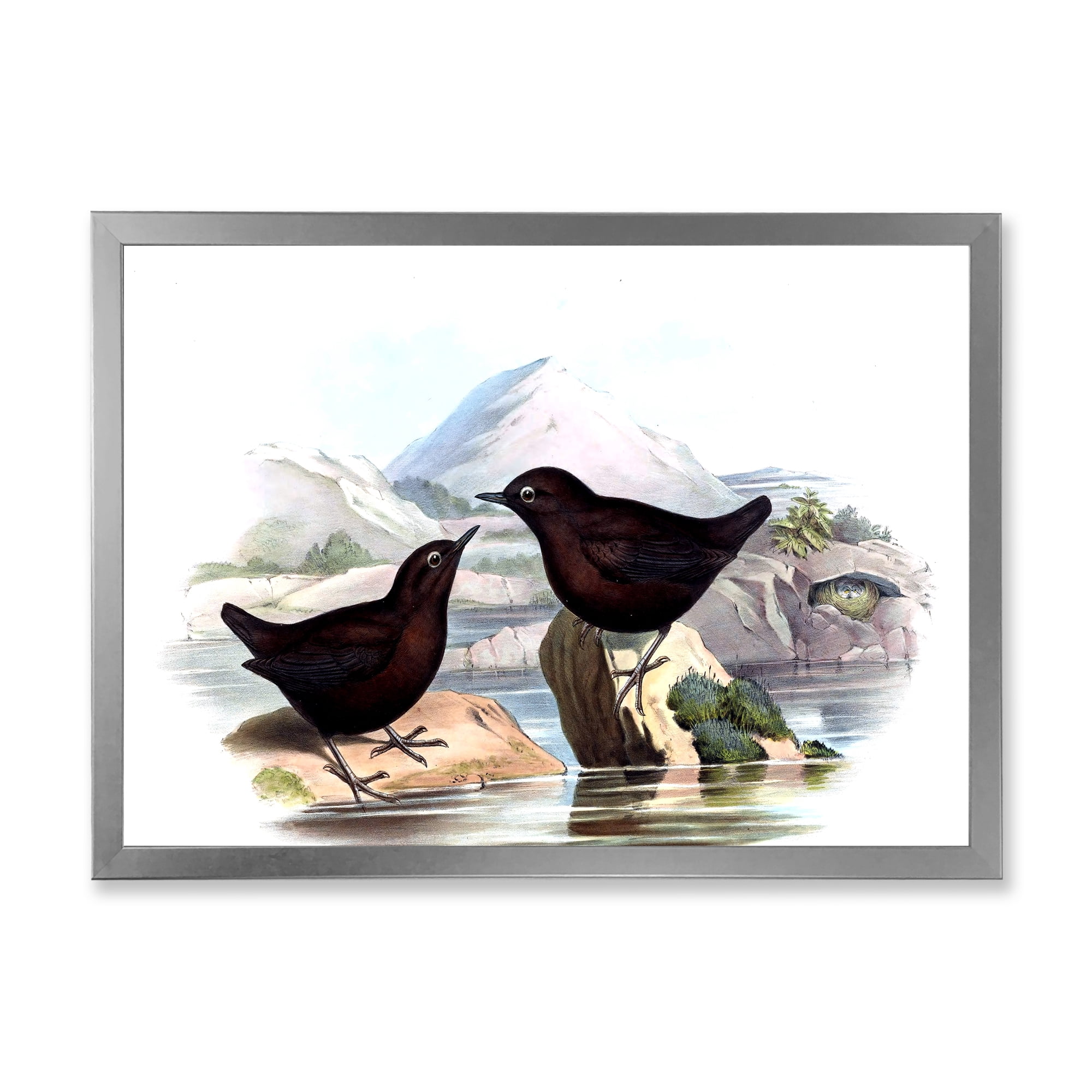 Designart 'Vintage Countryside Two Birds' Farmhouse Framed Art Print