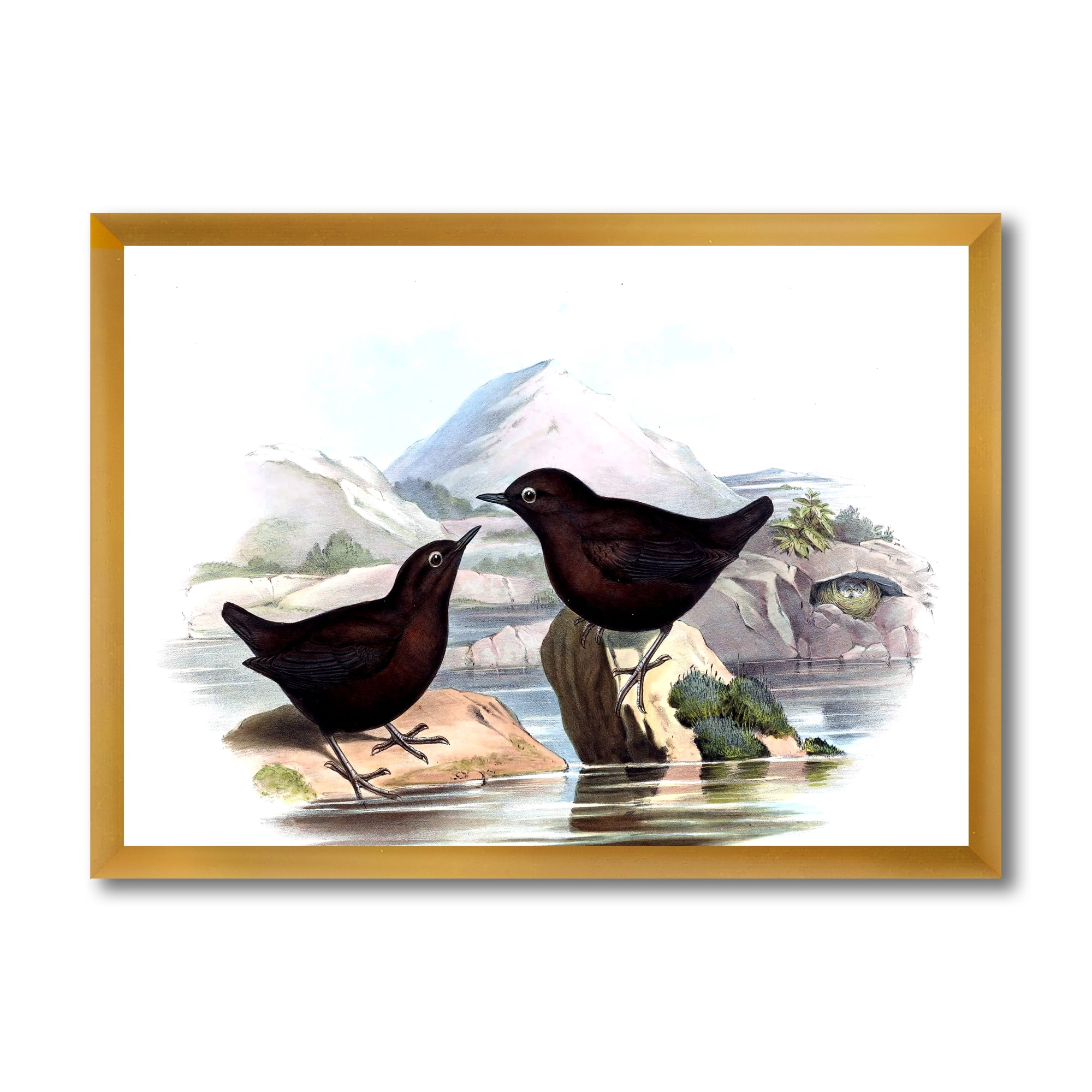 Designart 'Vintage Countryside Two Birds' Farmhouse Framed Art Print