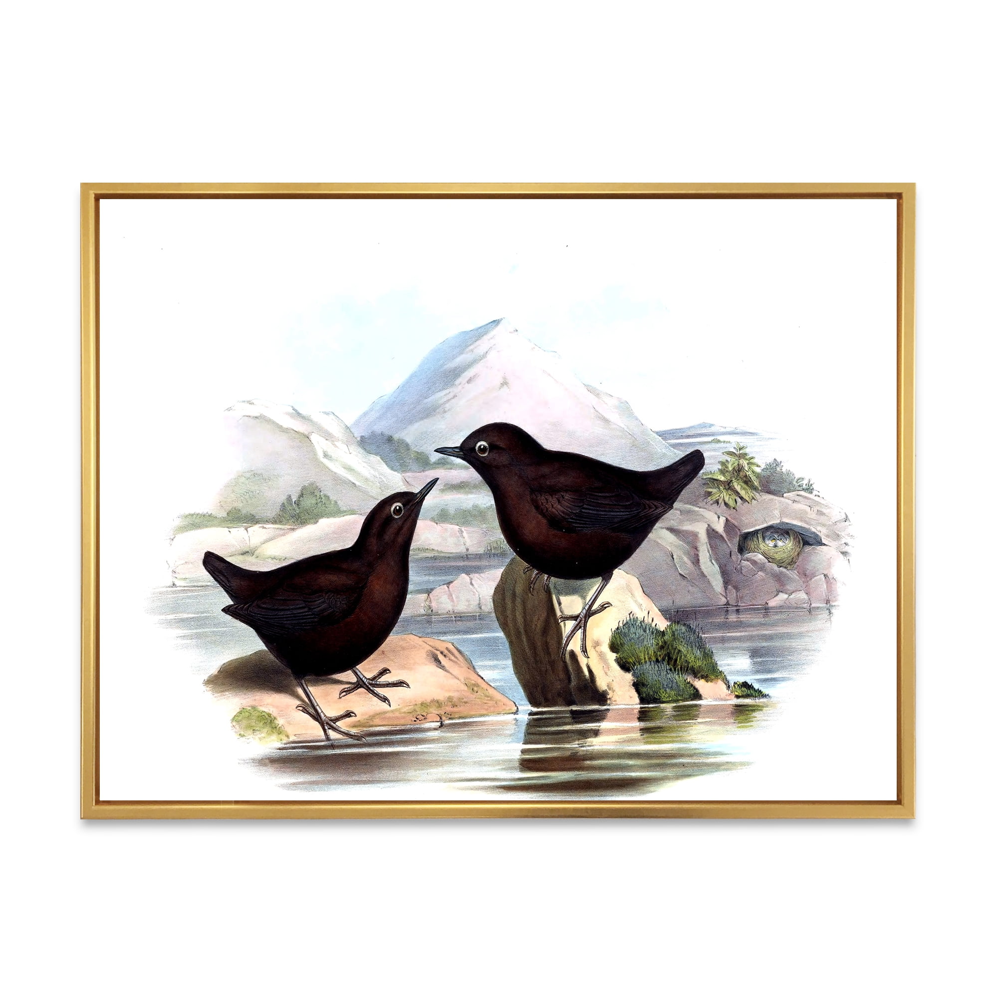 Designart 'Vintage Countryside Two Birds' Farmhouse Framed Canvas Wall Art Print