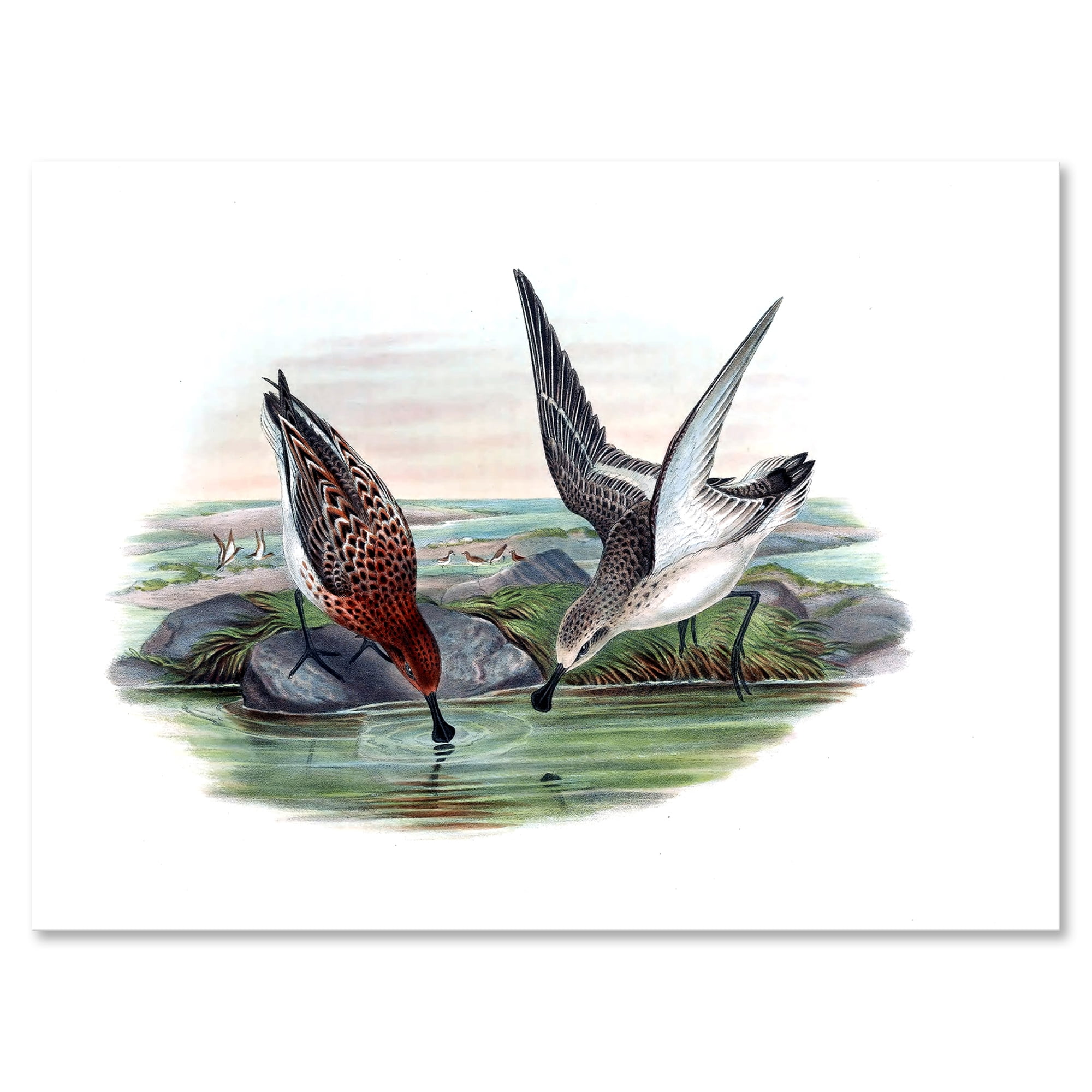 Designart ' Vintage Countryside Two Birds In Lake ' Farmhouse Canvas Wall Art Print