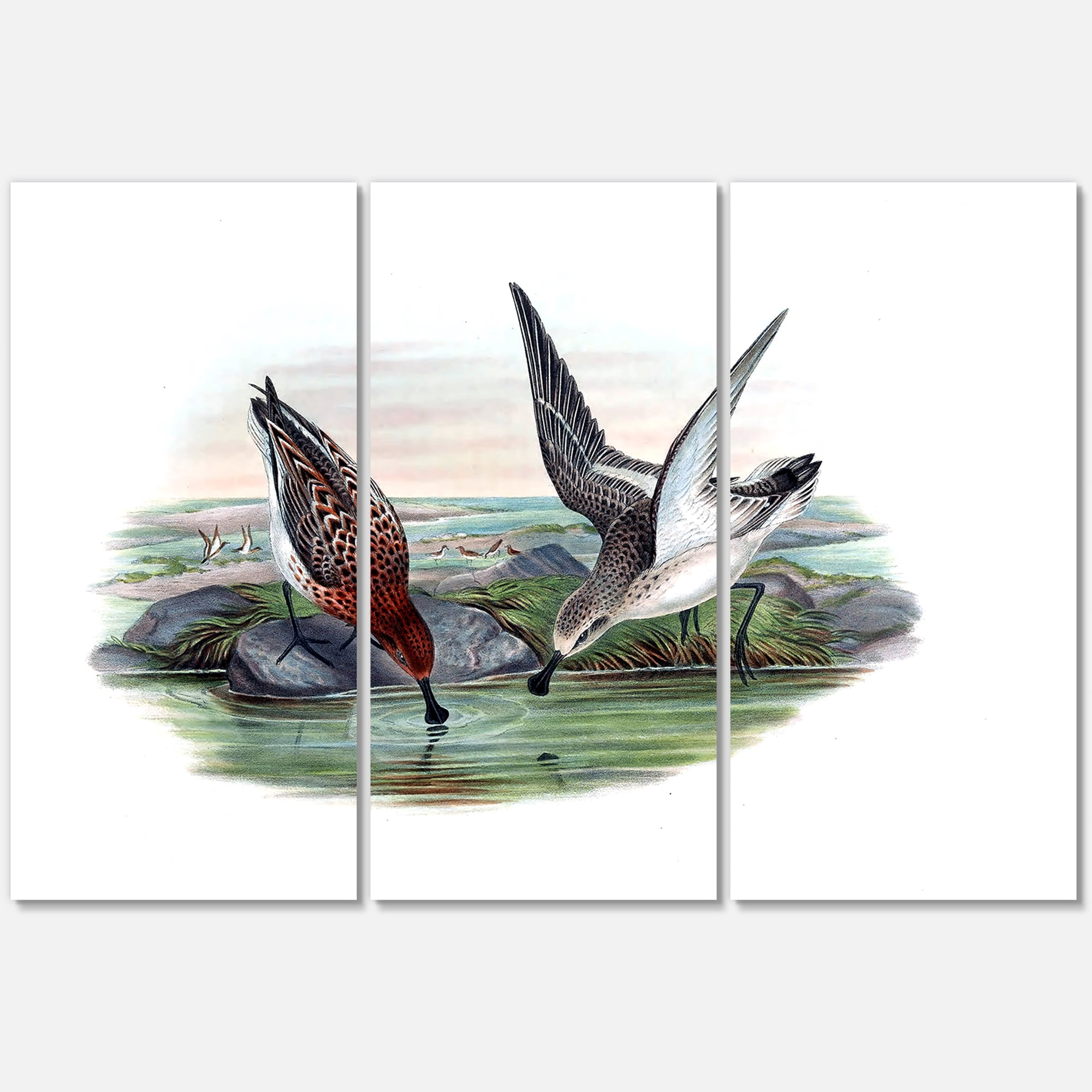 Designart ' Vintage Countryside Two Birds In Lake ' Farmhouse Canvas Wall Art Print