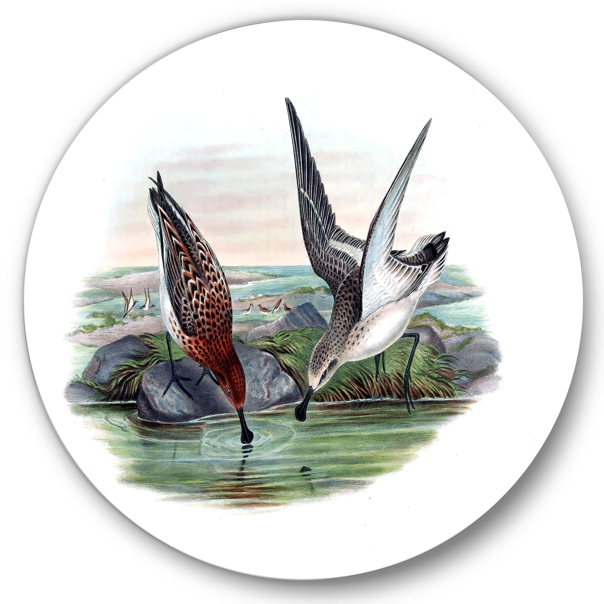 Designart 'Vintage Countryside Two Birds In Lake' Farmhouse Circle Metal Wall Art 23x23 - Disc of 23