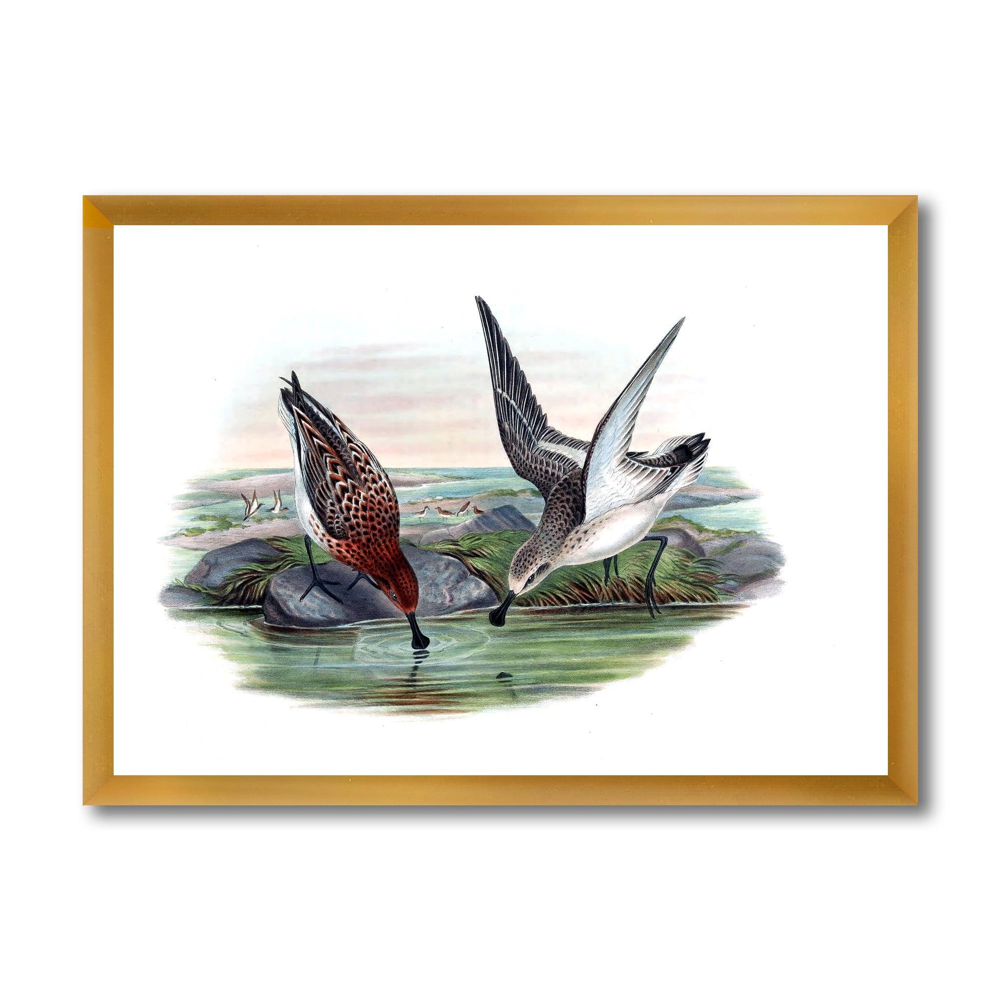 Designart 'Vintage Countryside Two Birds In Lake' Farmhouse Framed Art Print
