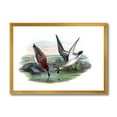 thumbnail image 1 of Designart 'Vintage Countryside Two Birds In Lake' Farmhouse Framed Art Print, 1 of 4