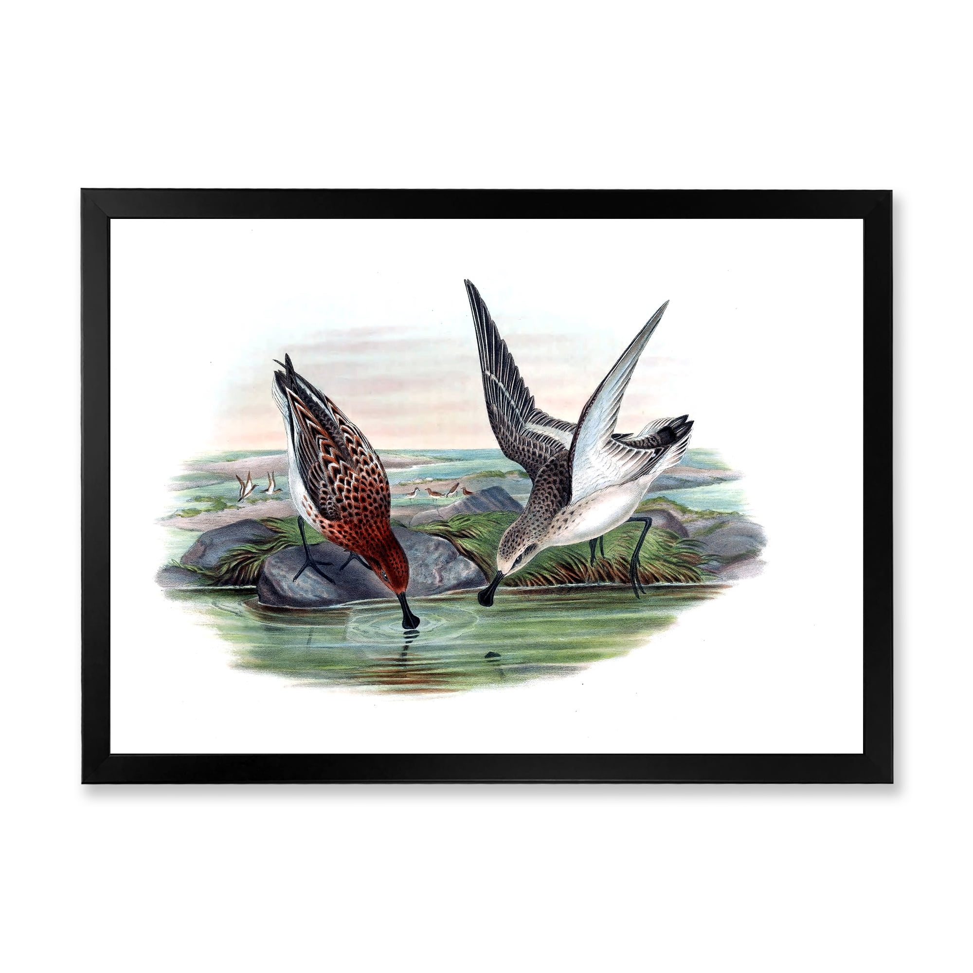 Designart 'Vintage Countryside Two Birds In Lake' Farmhouse Framed Art Print
