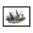thumbnail image 1 of Designart 'Vintage Countryside Two Birds In Lake' Farmhouse Framed Art Print, 1 of 4