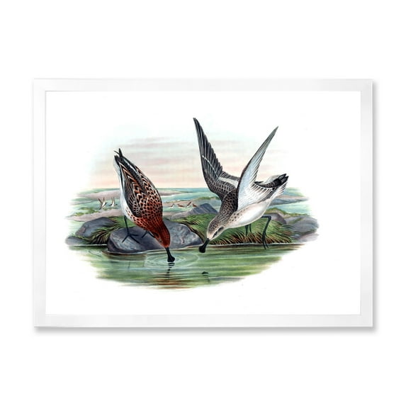 Designart 'Vintage Countryside Two Birds In Lake' Farmhouse Framed Art Print