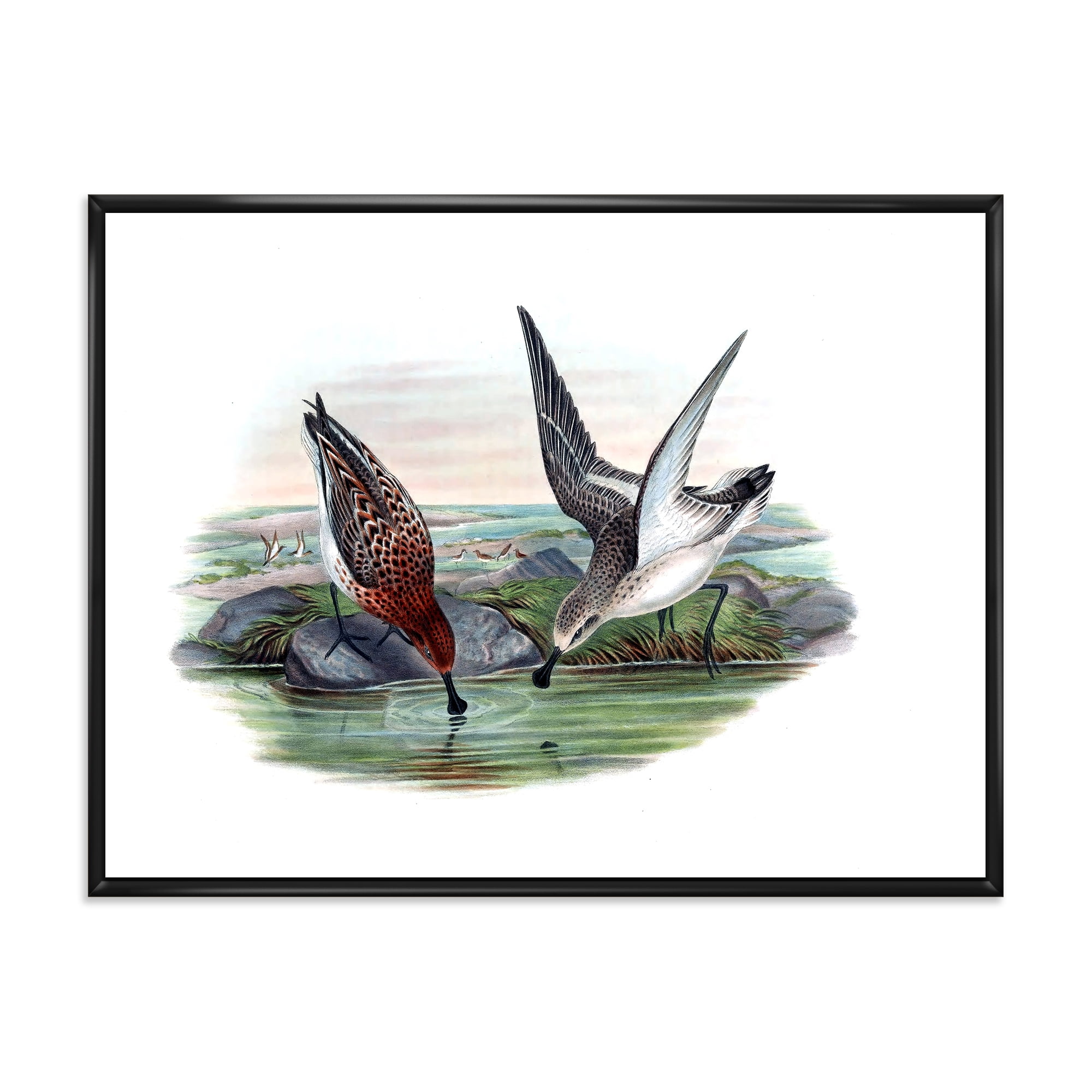 Designart 'Vintage Countryside Two Birds In Lake' Farmhouse Framed Canvas Wall Art Print