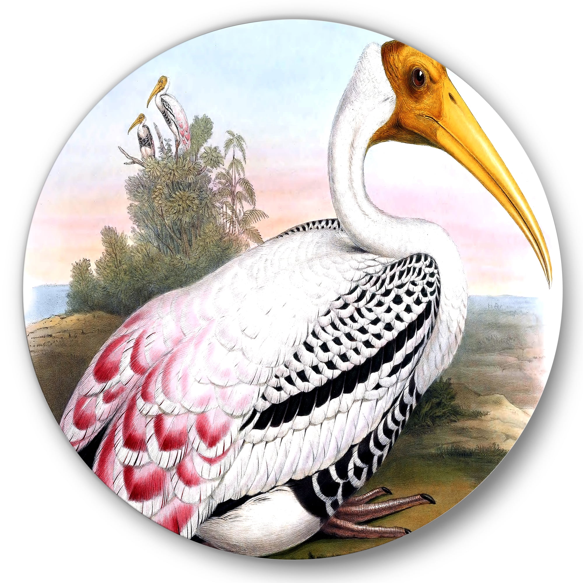 Designart 'Vintage Countryside White Birds' Farmhouse Circle Metal Wall Art 29x29 - Disc of 29