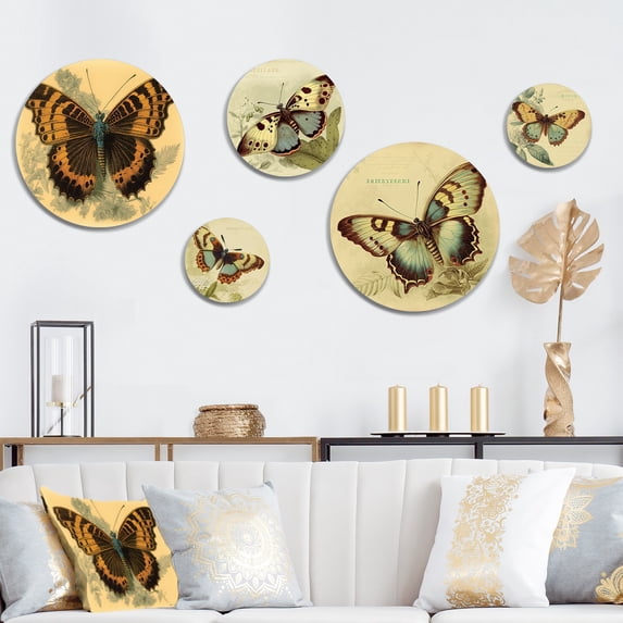 Designart "Vintage Illustration Of Butterfly II" Animals Butterfly Metal Wall Art Set of 5 Piece