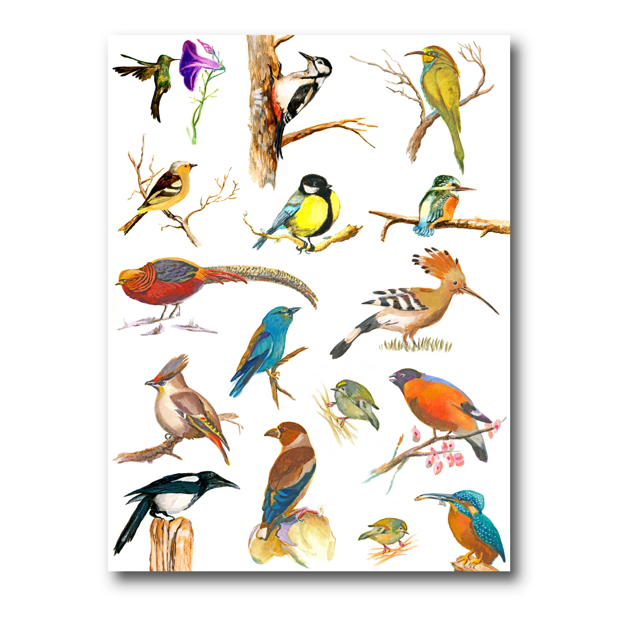 Designart ' Vital Colored Birds Plancard ' Traditional Canvas Wall Art Print