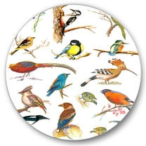 Designart 'Vital Colored Birds Plancard' Traditional Circle Metal Wall Art 36x36 - Disc of 36