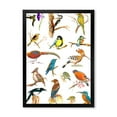 thumbnail image 1 of Designart 'Vital Colored Birds Plancard' Traditional Framed Art Print, 1 of 4