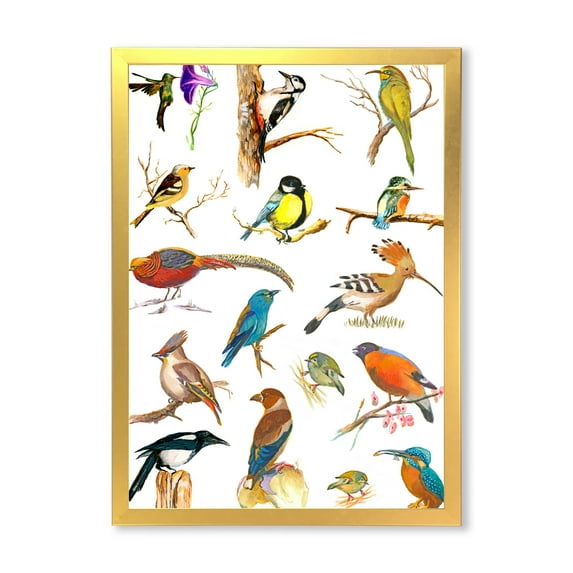 Designart 'Vital Colored Birds Plancard' Traditional Framed Art Print