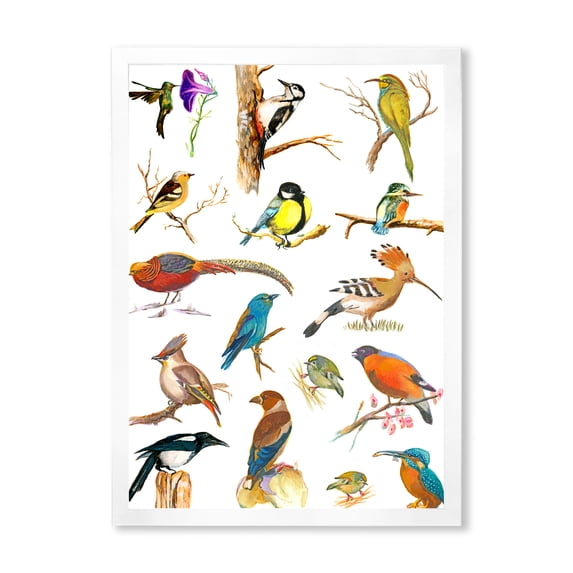 Designart 'Vital Colored Birds Plancard' Traditional Framed Art Print